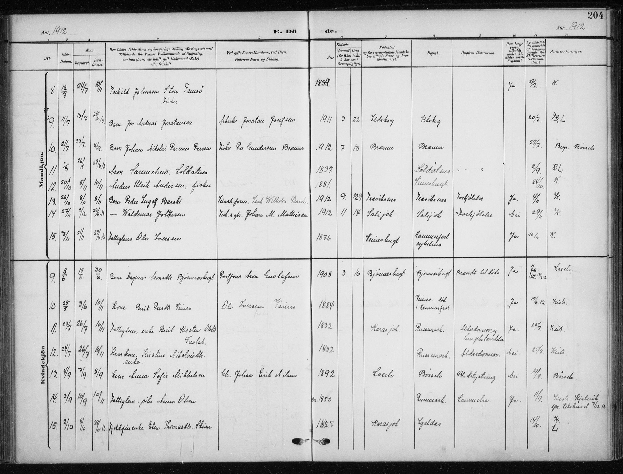 Kistrand/Porsanger sokneprestembete, AV/SATØ-S-1351/H/Ha/L0014.kirke: Parish register (official) no. 14, 1908-1917, p. 204