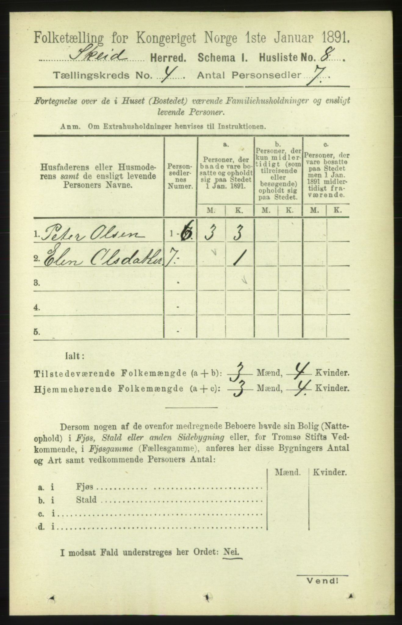 RA, 1891 census for 1732 Skei, 1891, p. 1311