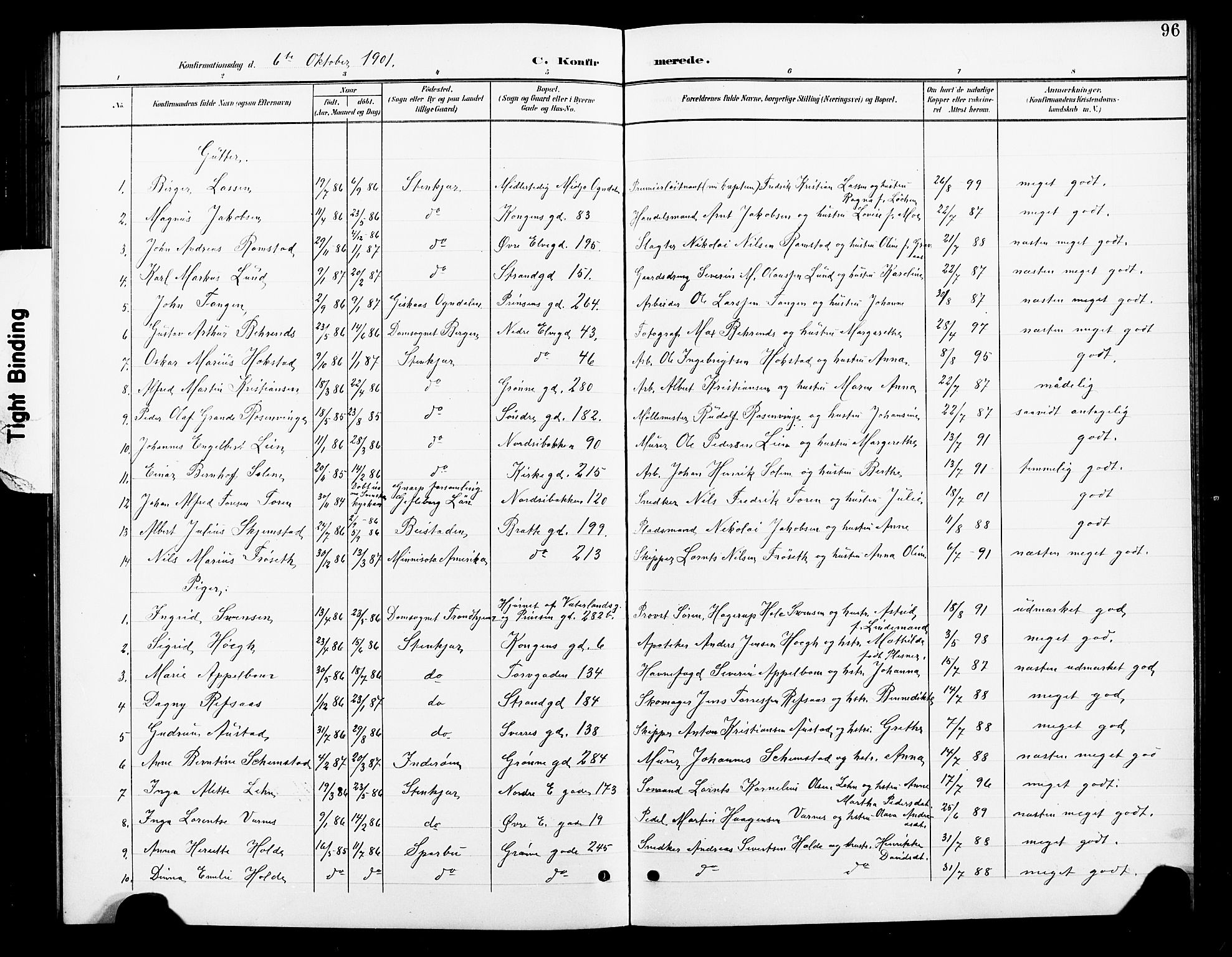 Ministerialprotokoller, klokkerbøker og fødselsregistre - Nord-Trøndelag, SAT/A-1458/739/L0375: Parish register (copy) no. 739C03, 1898-1908, p. 96