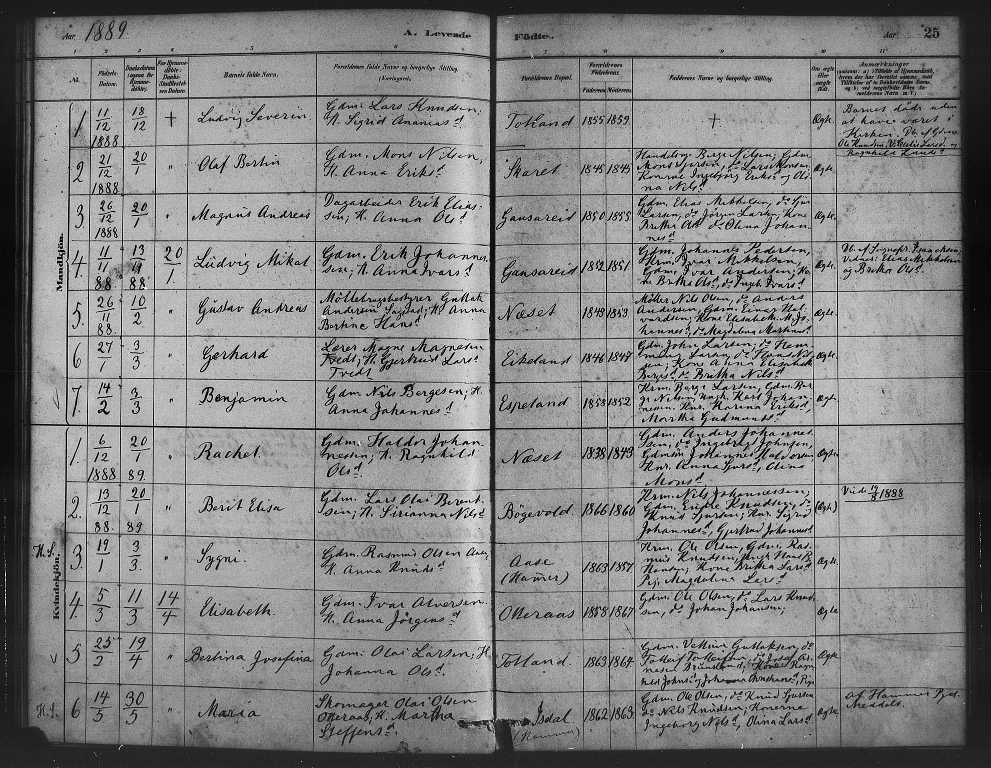 Alversund Sokneprestembete, SAB/A-73901/H/Ha/Haa/Haad/L0001: Parish register (official) no. D 1, 1880-1898, p. 25