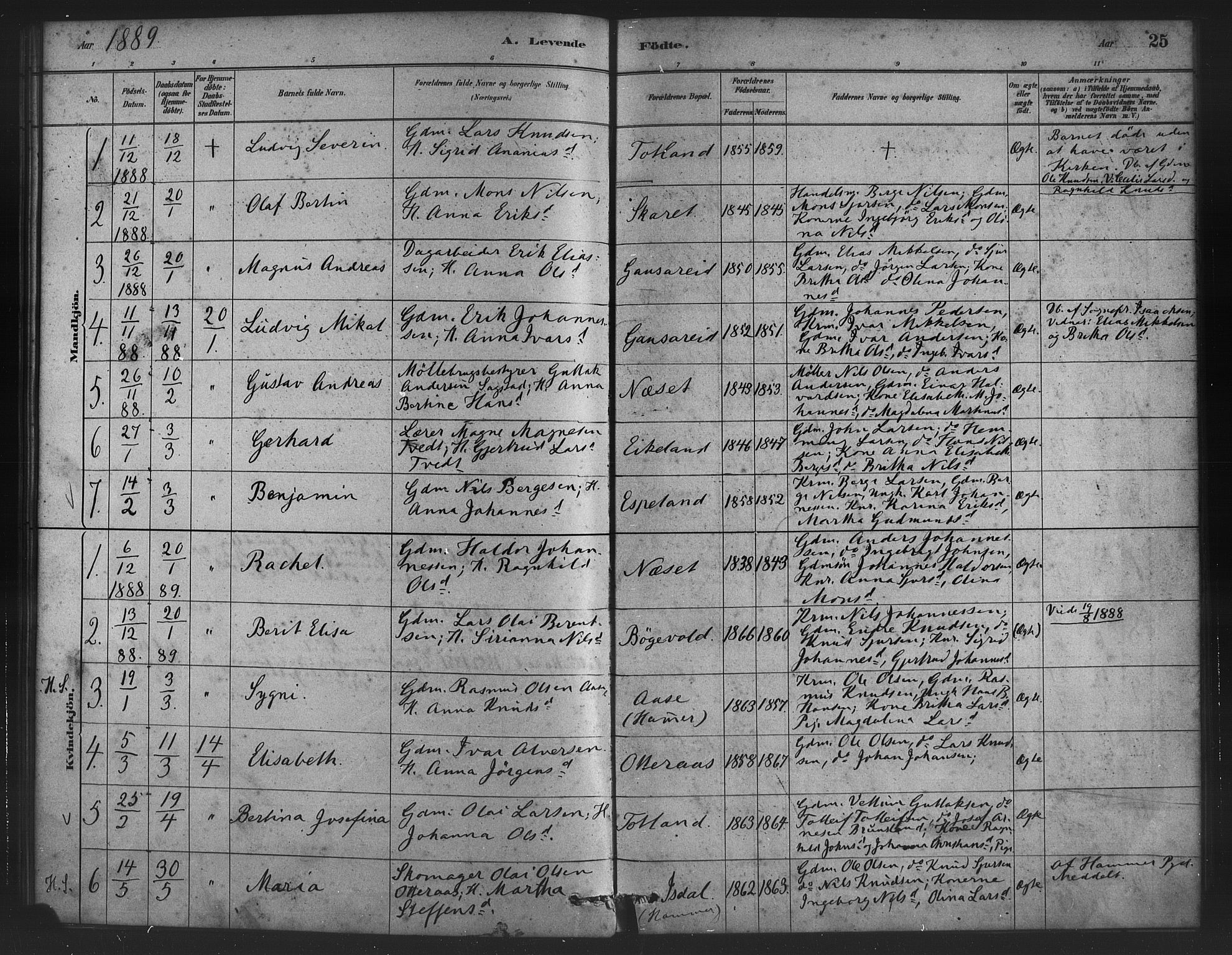 Alversund Sokneprestembete, AV/SAB-A-73901/H/Ha/Haa/Haad/L0001: Parish register (official) no. D 1, 1880-1898, p. 25