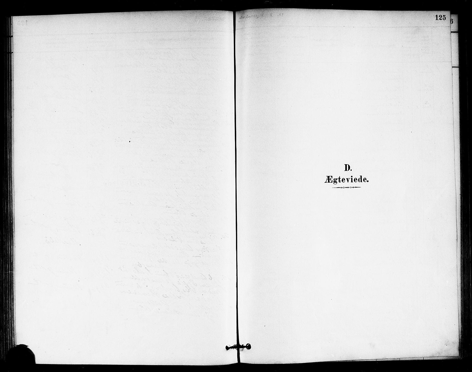 Eidsberg prestekontor Kirkebøker, SAO/A-10905/F/Fb/L0001: Parish register (official) no. II 1, 1879-1900, p. 125