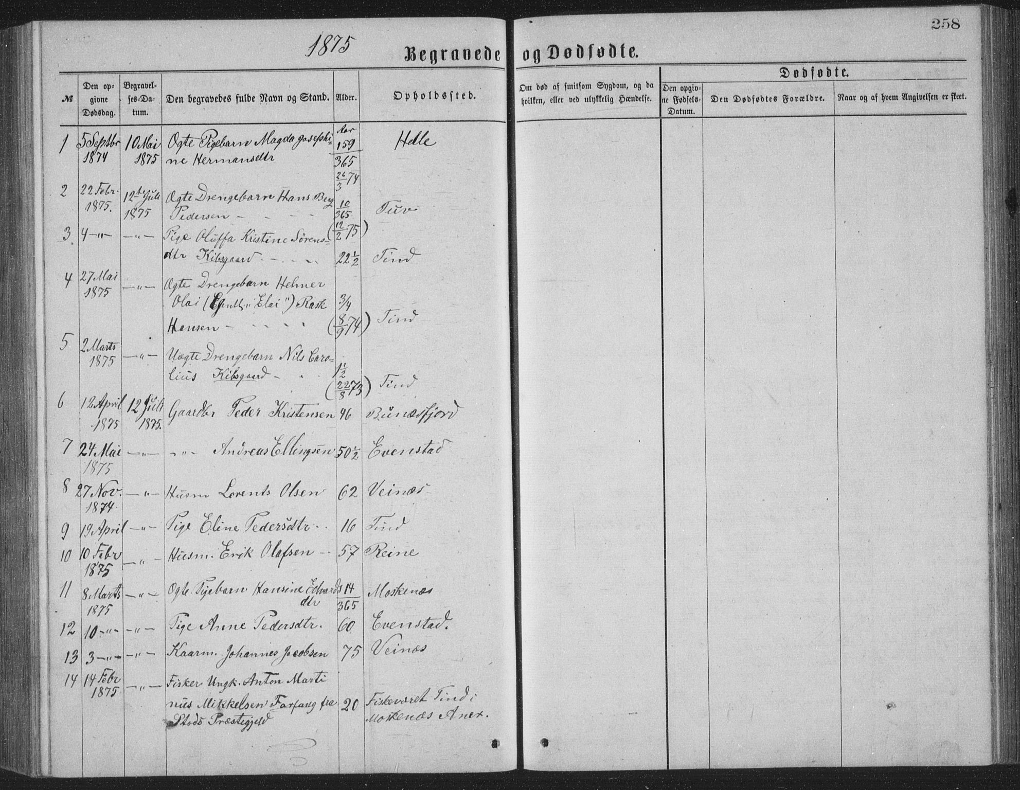 Ministerialprotokoller, klokkerbøker og fødselsregistre - Nordland, AV/SAT-A-1459/886/L1225: Parish register (copy) no. 886C02, 1874-1896, p. 258