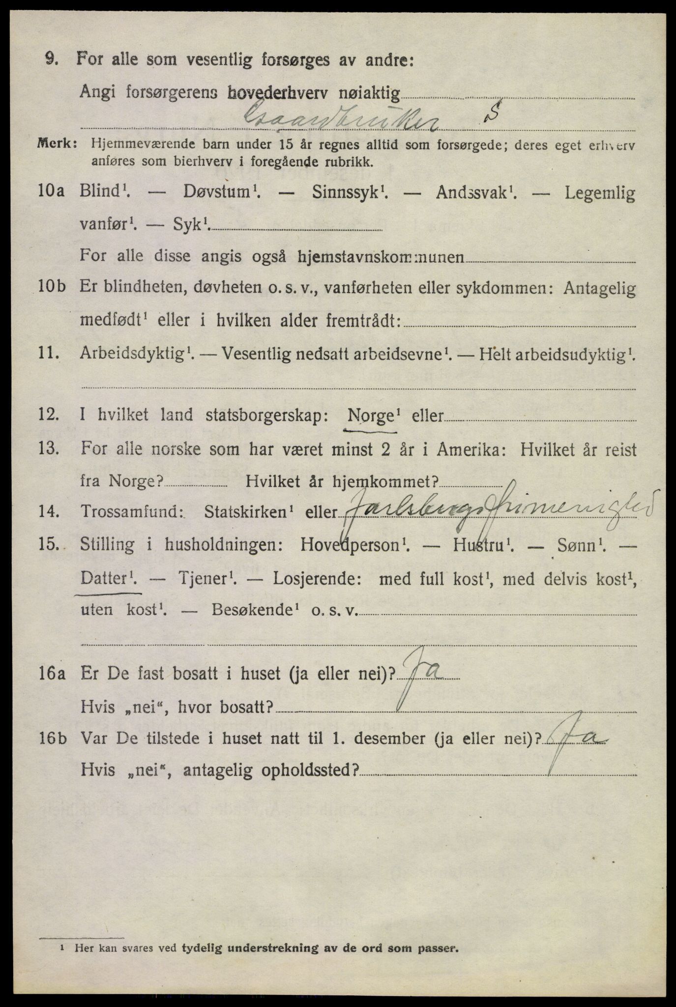 SAKO, 1920 census for Våle, 1920, p. 5529