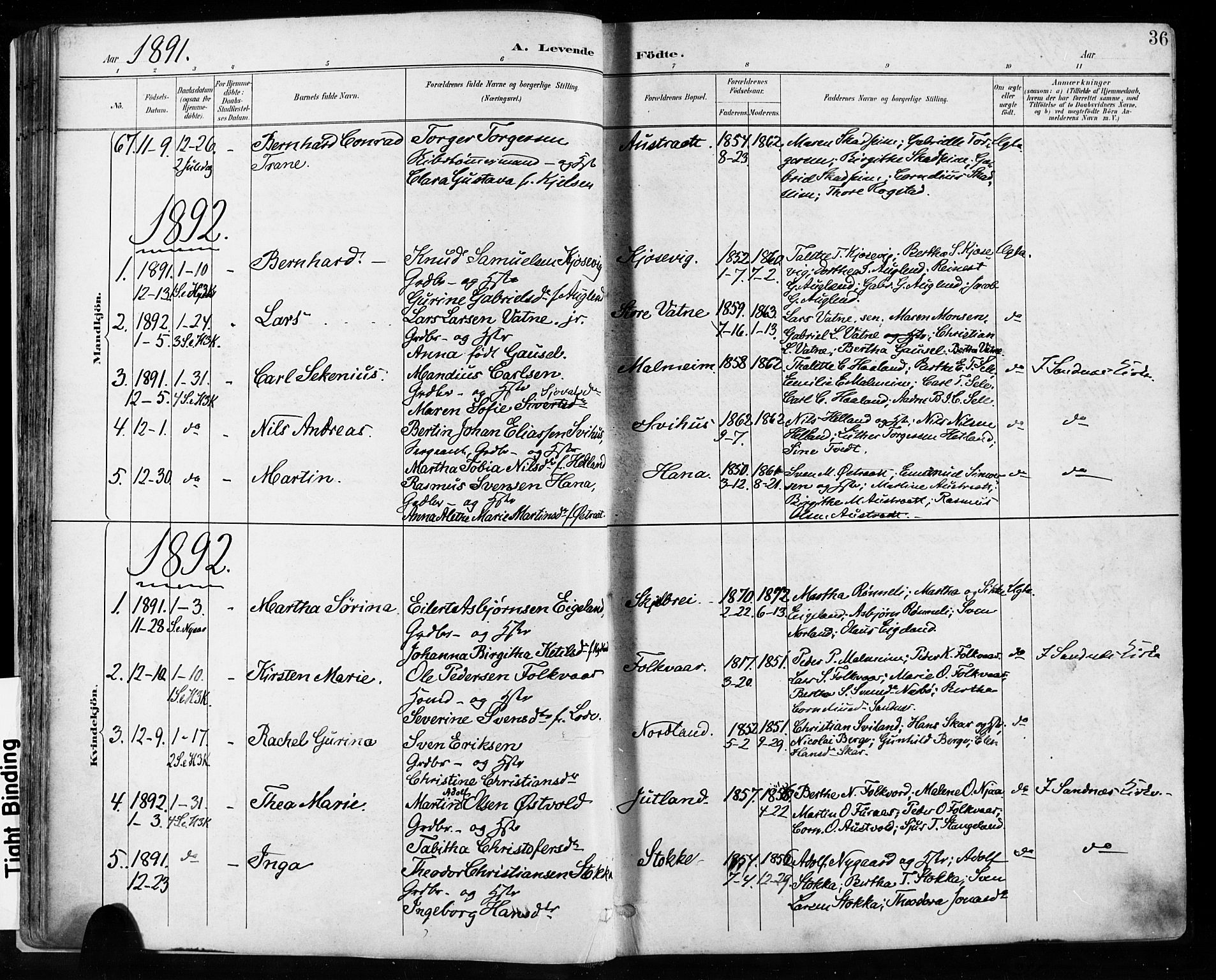 Høyland sokneprestkontor, SAST/A-101799/001/30BA/L0013: Parish register (official) no. A 13.1, 1889-1898, p. 36