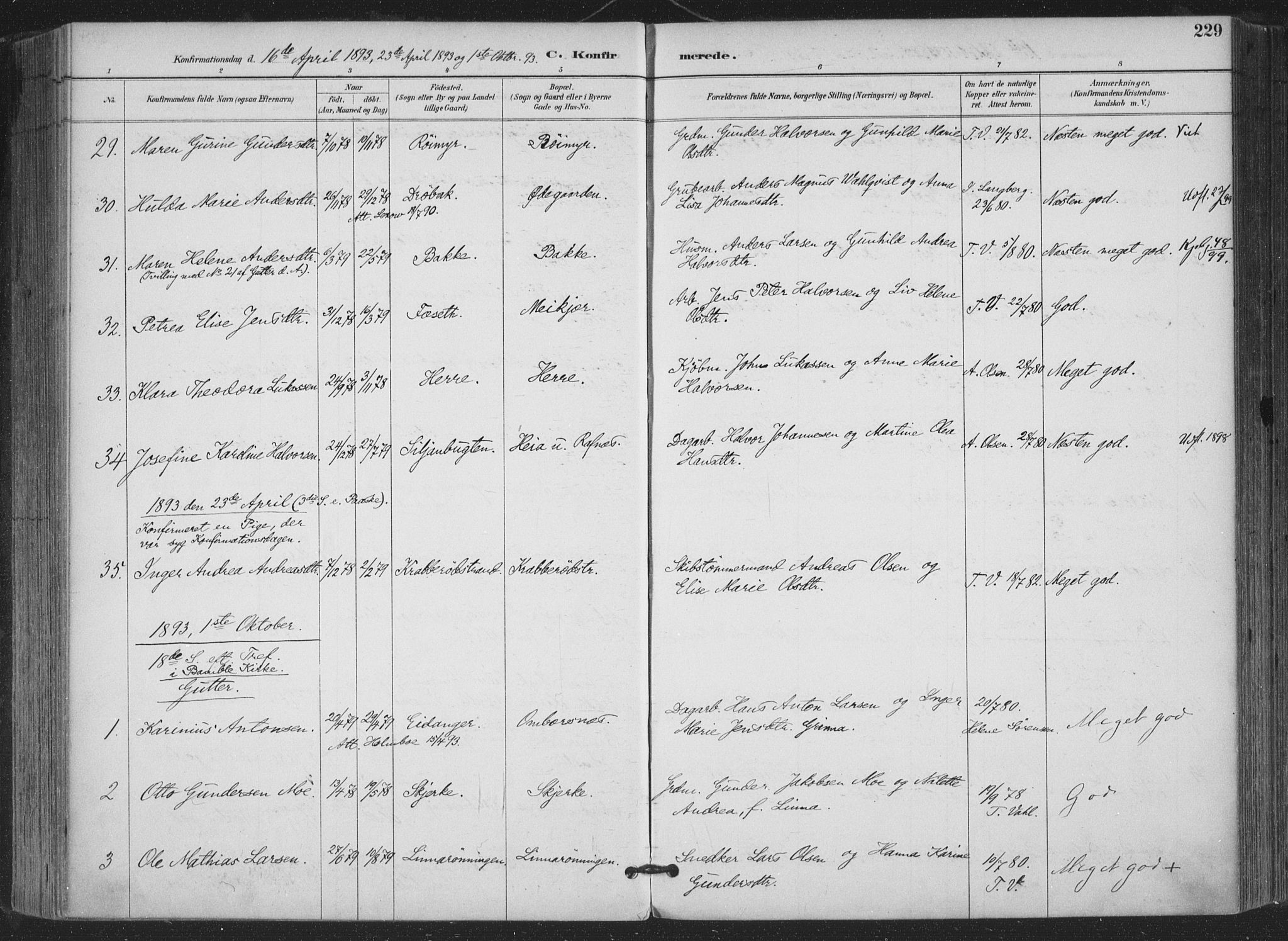 Bamble kirkebøker, AV/SAKO-A-253/F/Fa/L0008: Parish register (official) no. I 8, 1888-1900, p. 229