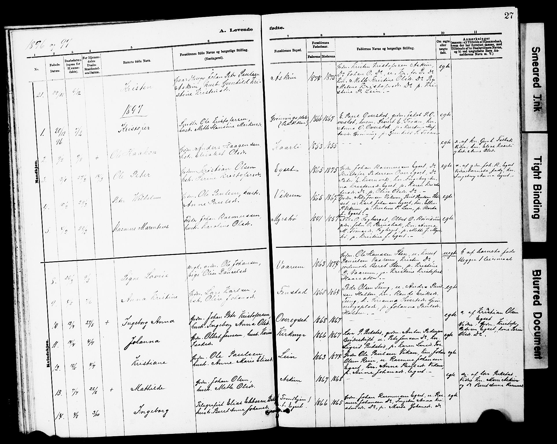 Ministerialprotokoller, klokkerbøker og fødselsregistre - Sør-Trøndelag, AV/SAT-A-1456/646/L0628: Parish register (copy) no. 646C01, 1880-1903, p. 27