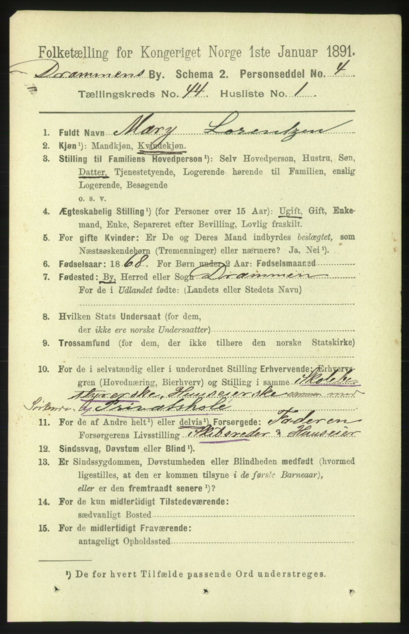 RA, 1891 census for 0602 Drammen, 1891, p. 25399
