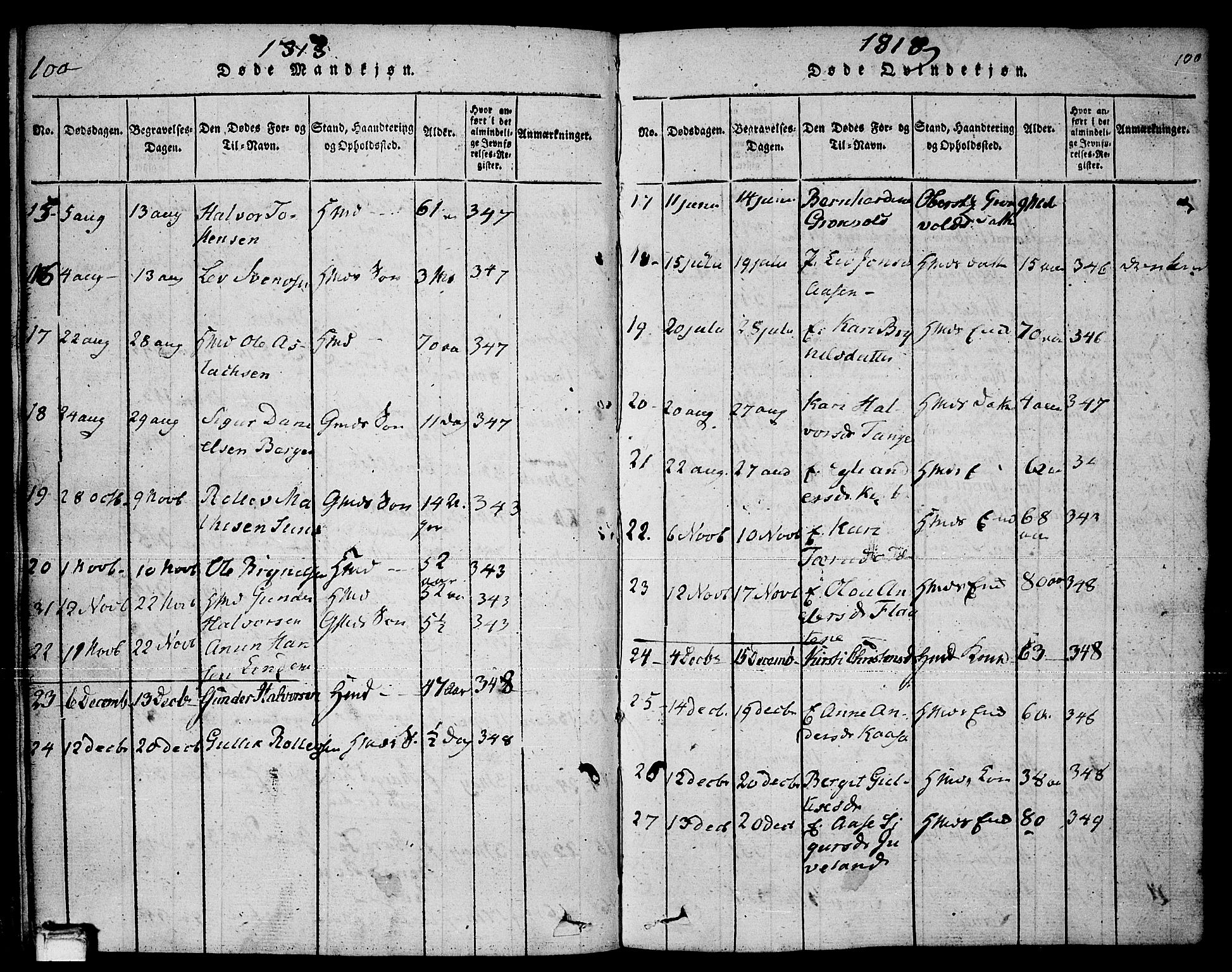 Sauherad kirkebøker, AV/SAKO-A-298/F/Fa/L0005: Parish register (official) no. I 5, 1815-1829, p. 100