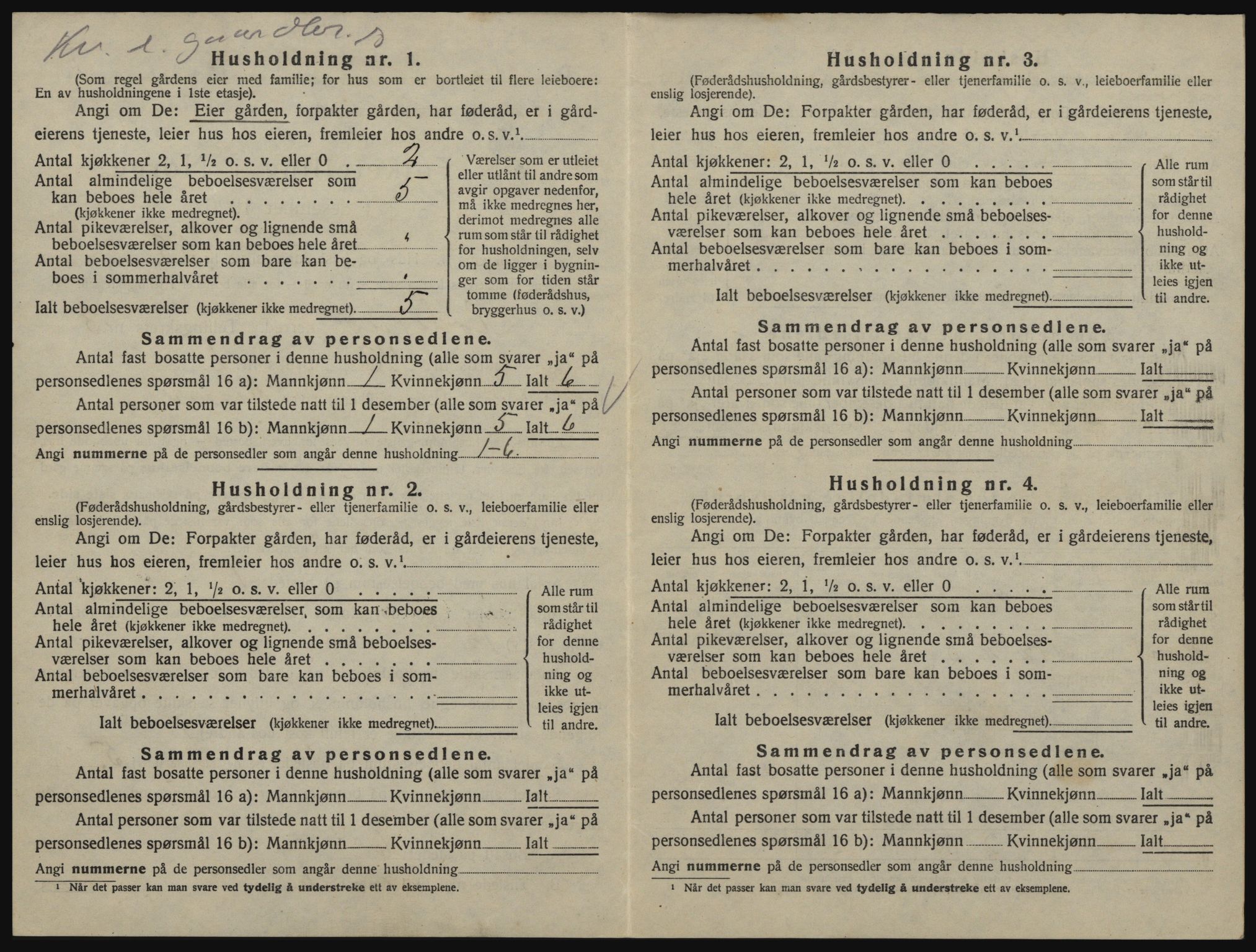 SAO, 1920 census for Rødenes, 1920, p. 383