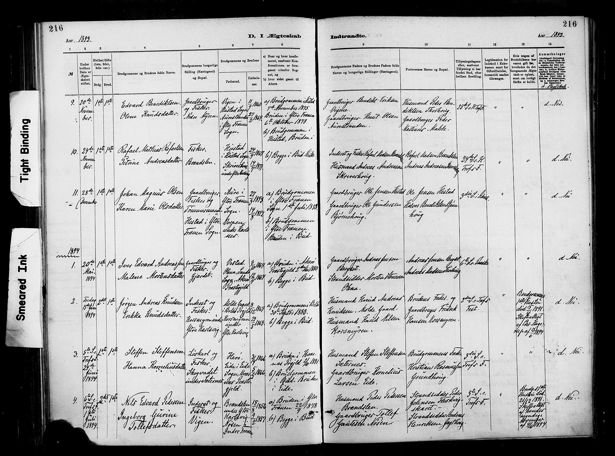 Ministerialprotokoller, klokkerbøker og fødselsregistre - Møre og Romsdal, AV/SAT-A-1454/566/L0769: Parish register (official) no. 566A08, 1881-1903, p. 216