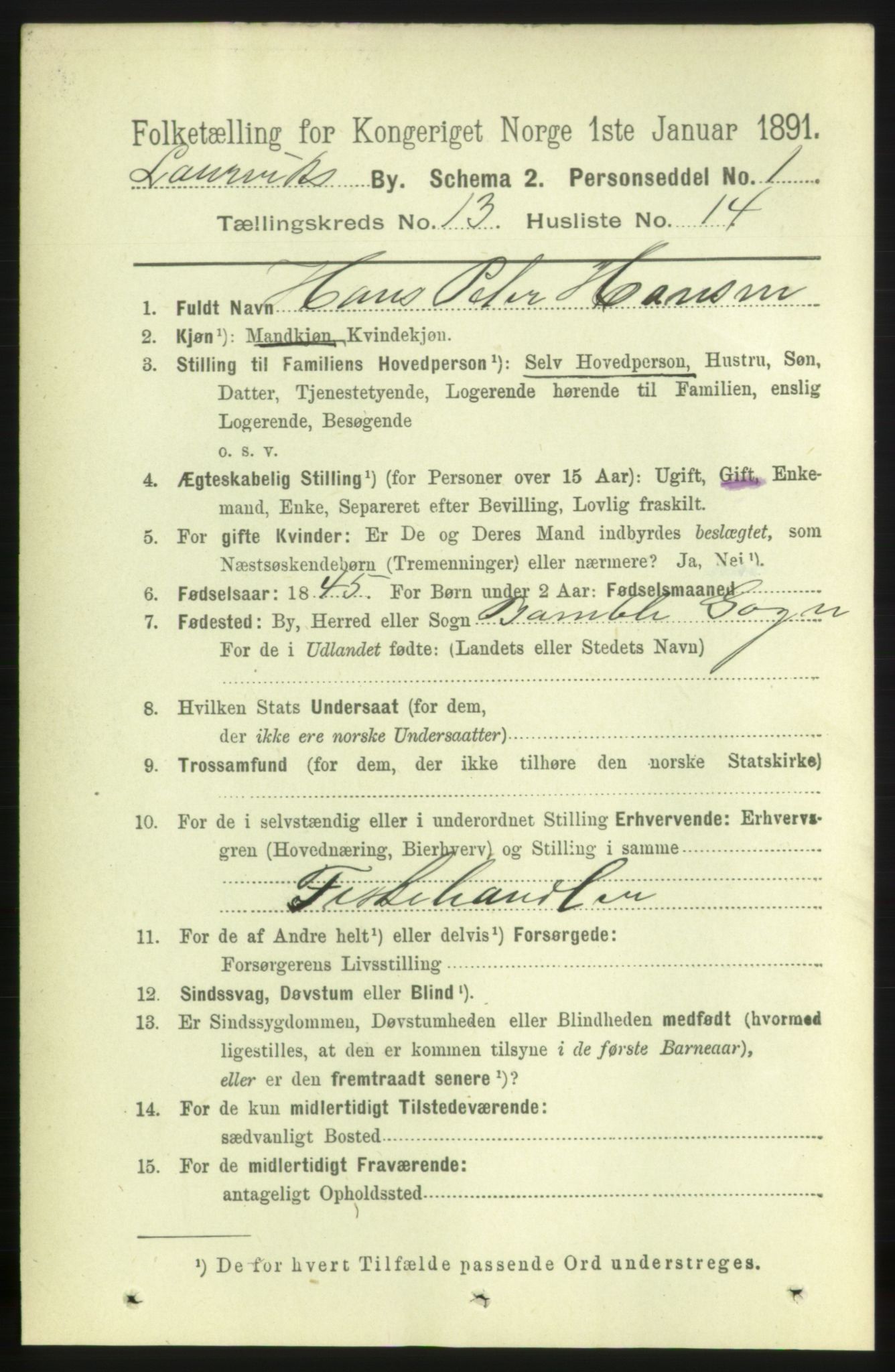 RA, 1891 census for 0707 Larvik, 1891, p. 10647