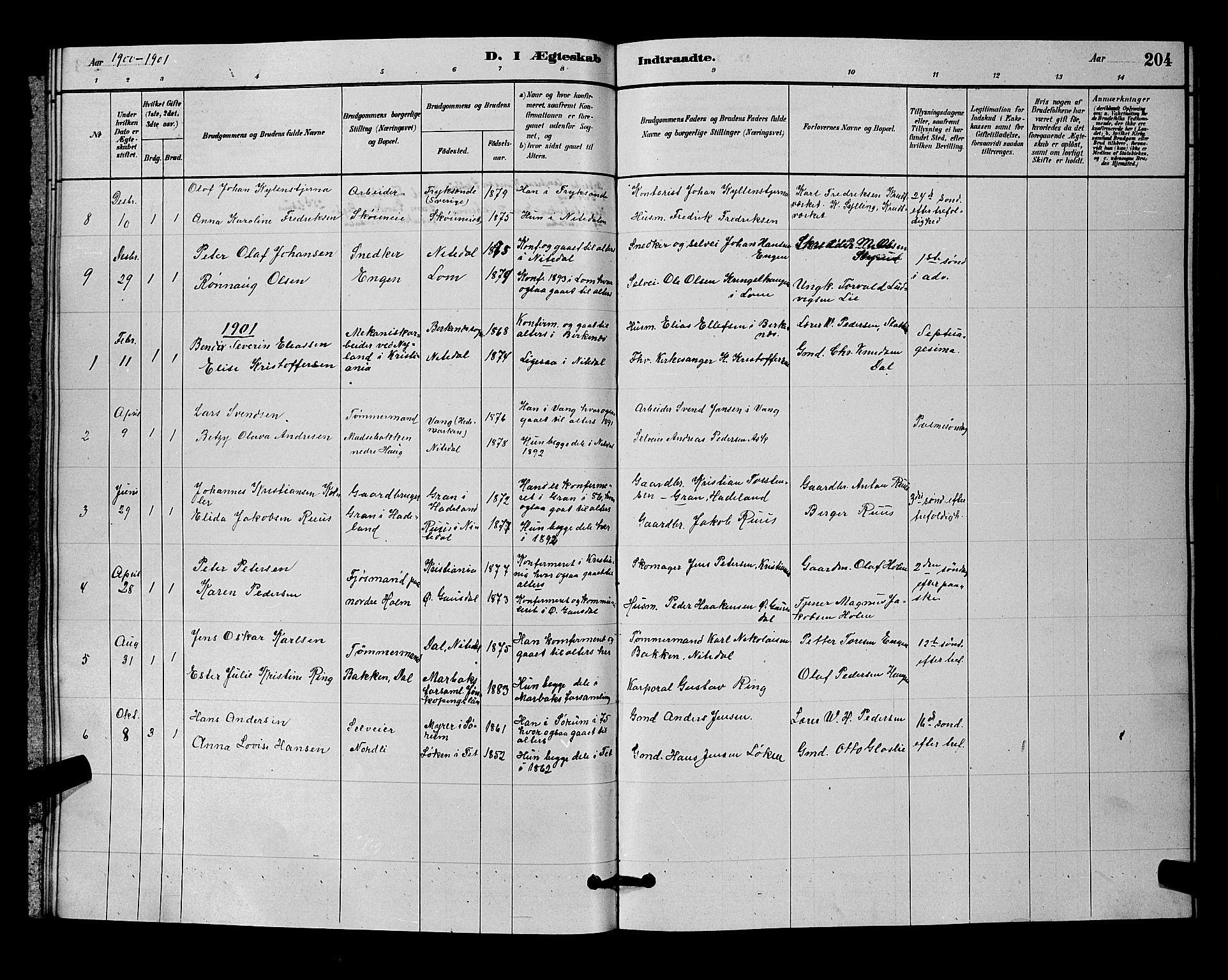Nittedal prestekontor Kirkebøker, SAO/A-10365a/G/Ga/L0002: Parish register (copy) no. I 2, 1879-1901, p. 204