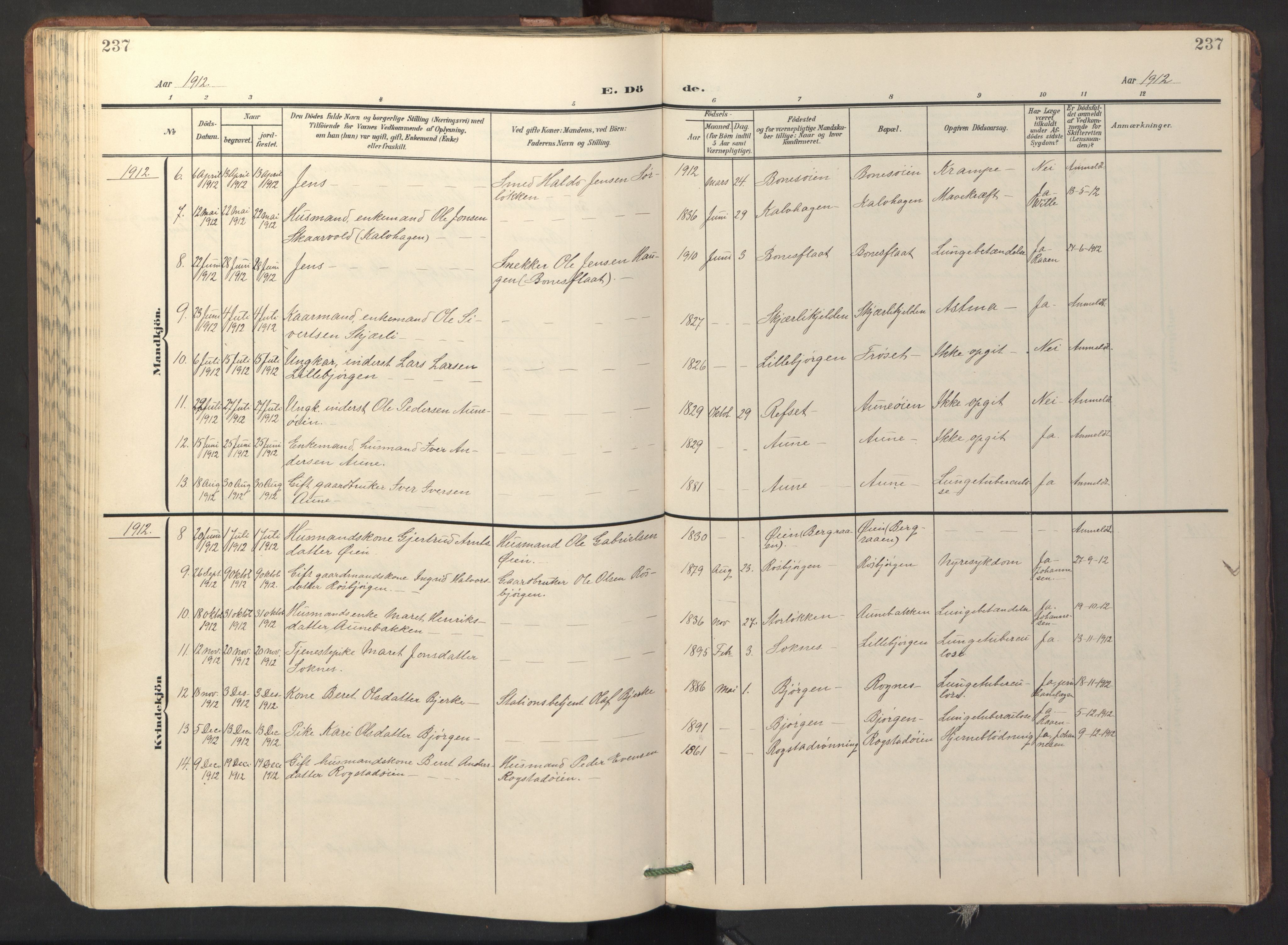 Ministerialprotokoller, klokkerbøker og fødselsregistre - Sør-Trøndelag, SAT/A-1456/687/L1019: Parish register (copy) no. 687C03, 1904-1931, p. 237