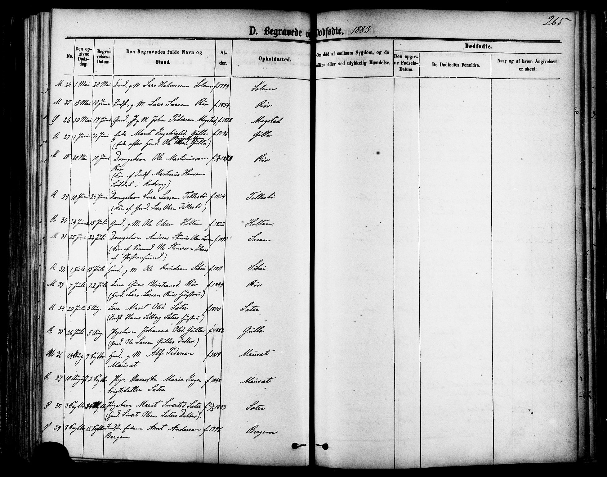 Ministerialprotokoller, klokkerbøker og fødselsregistre - Møre og Romsdal, AV/SAT-A-1454/595/L1046: Parish register (official) no. 595A08, 1874-1884, p. 265