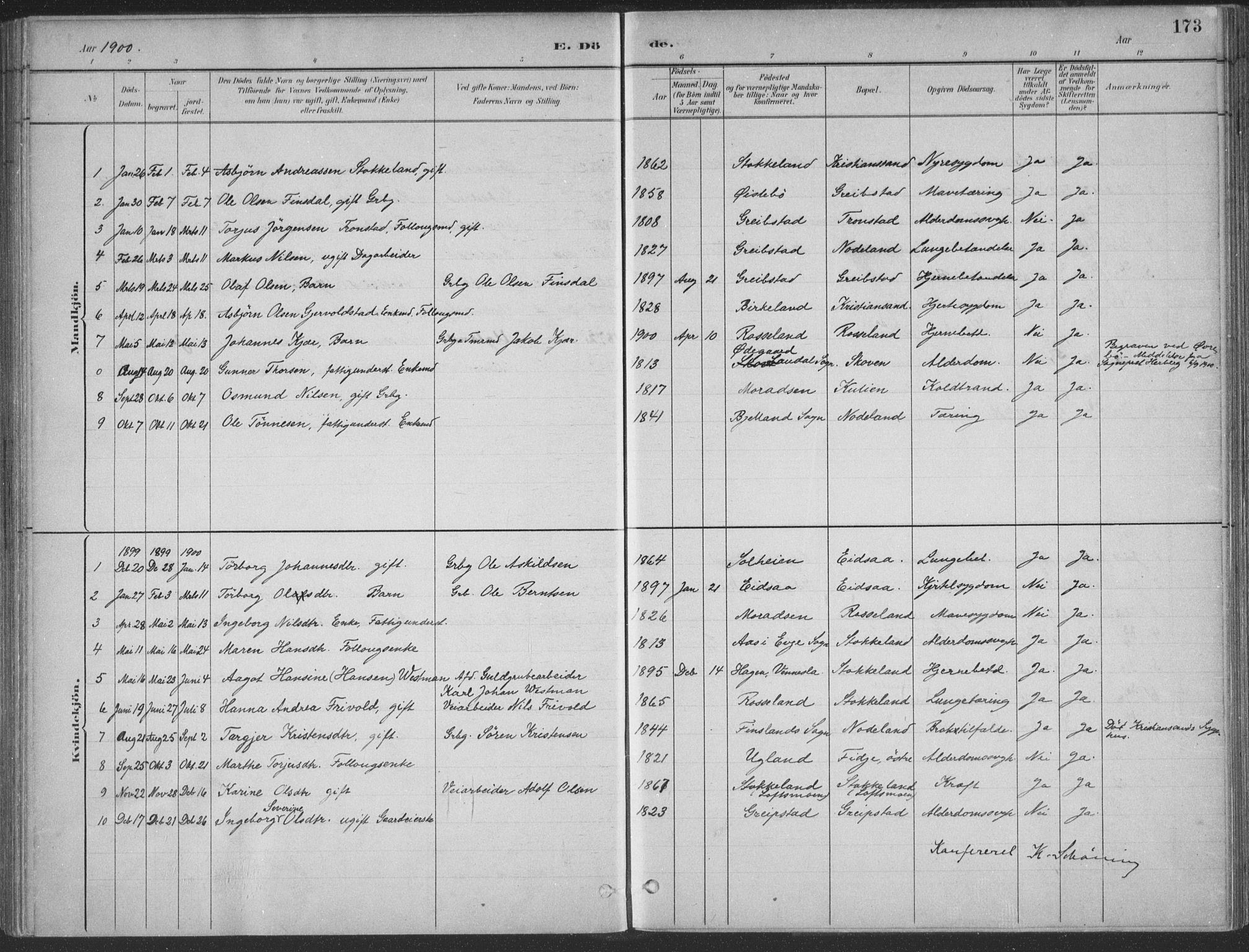 Søgne sokneprestkontor, SAK/1111-0037/F/Fa/Faa/L0003: Parish register (official) no. A 3, 1883-1910, p. 173