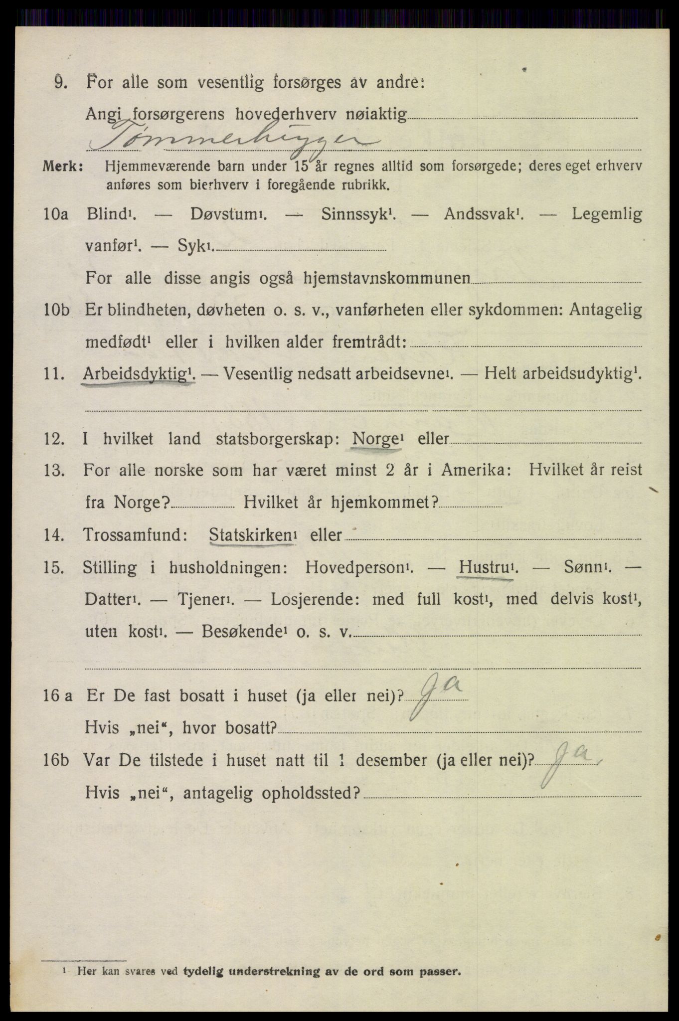 SAH, 1920 census for Trysil, 1920, p. 14092