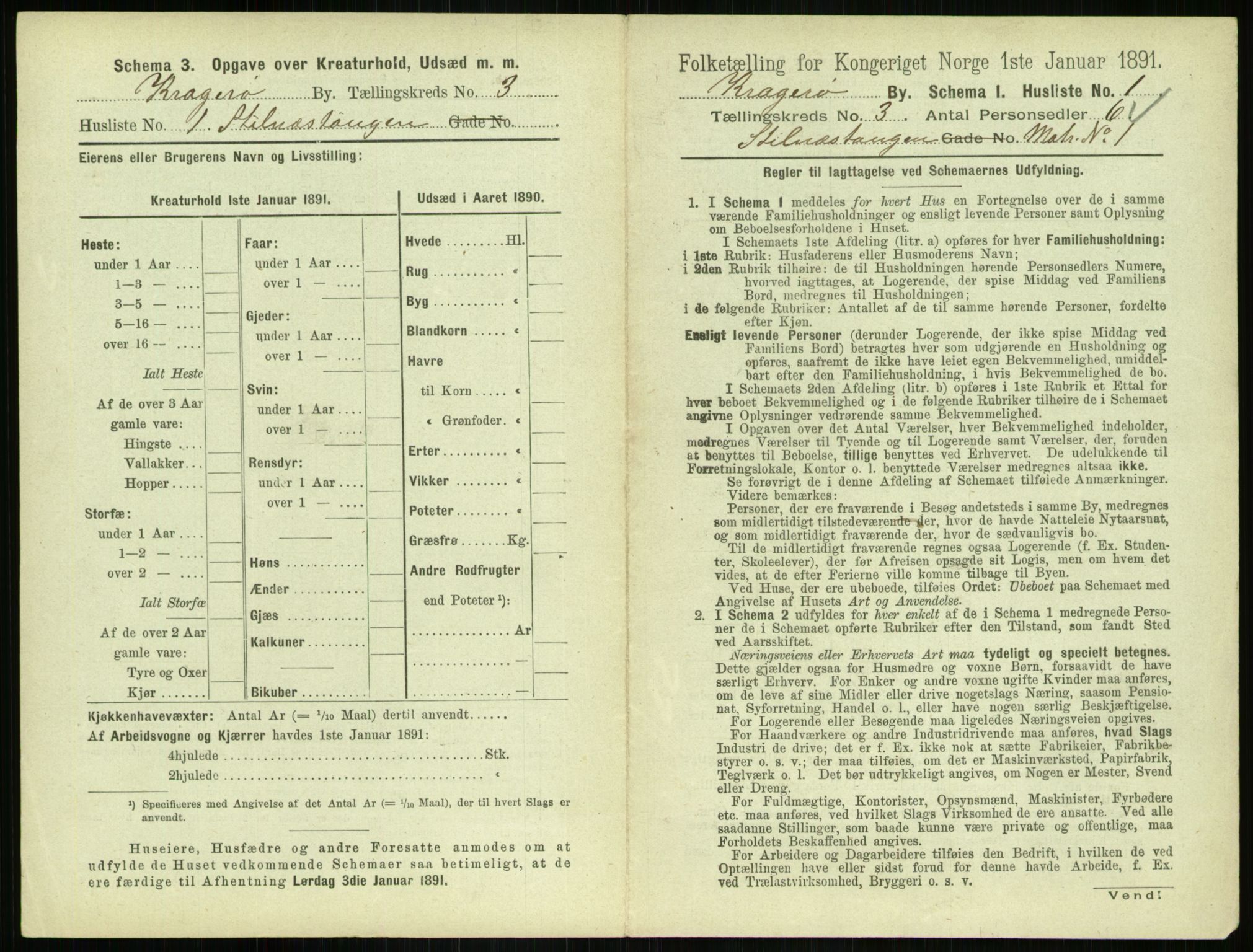 RA, 1891 census for 0801 Kragerø, 1891, p. 336