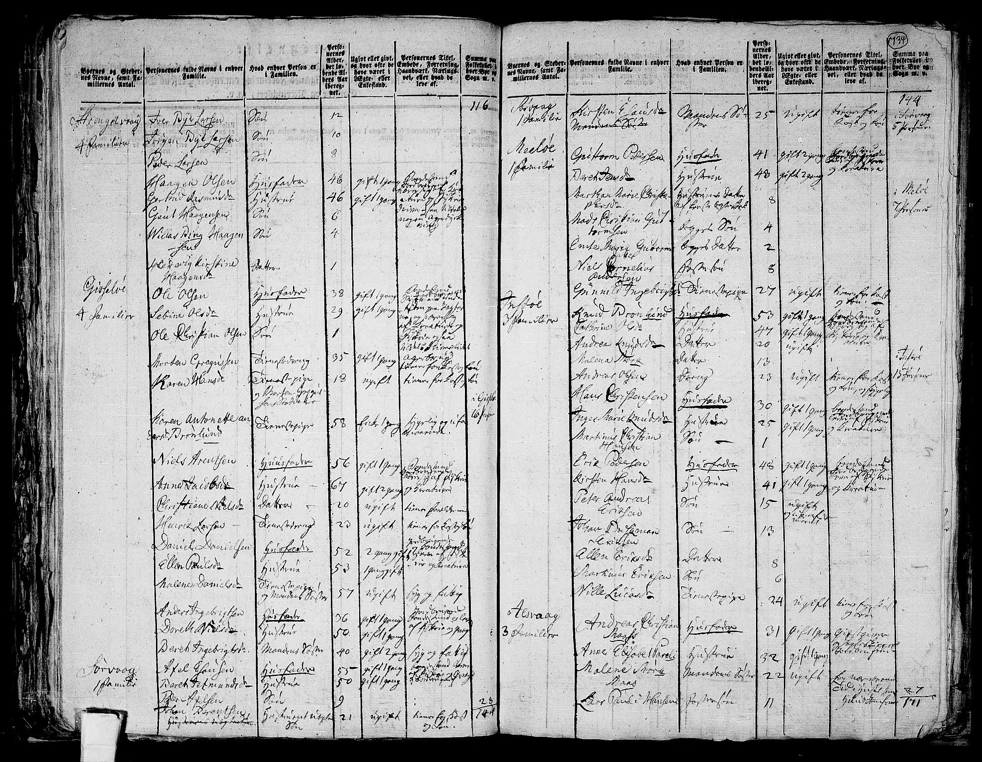 RA, 1801 census for 1868P Øksnes, 1801, p. 733b-734a