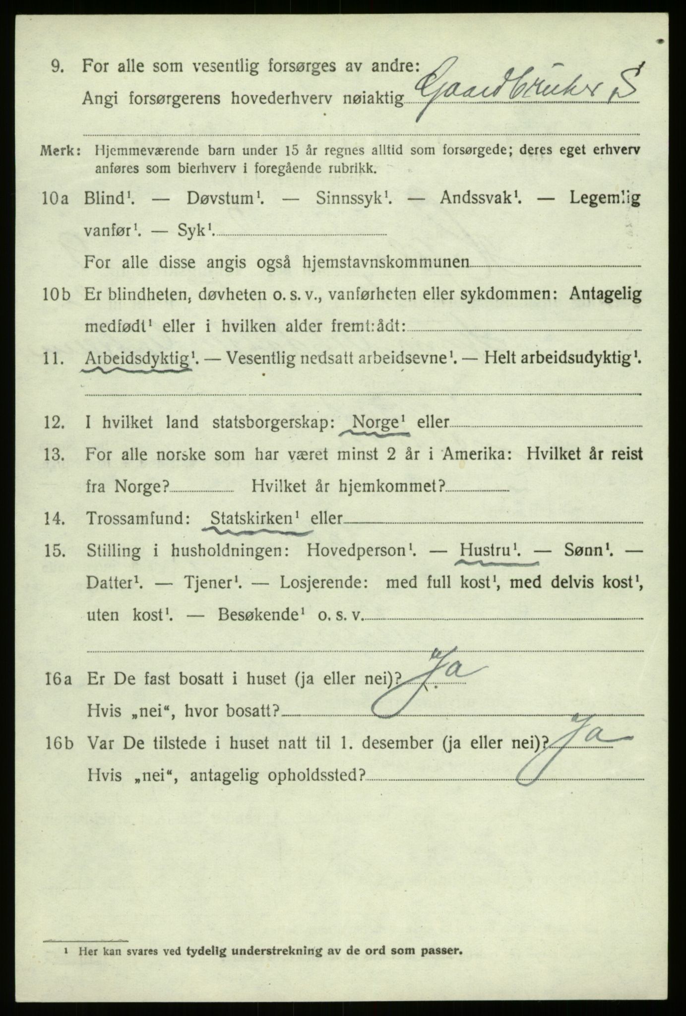 SAB, 1920 census for Hafslo, 1920, p. 6419