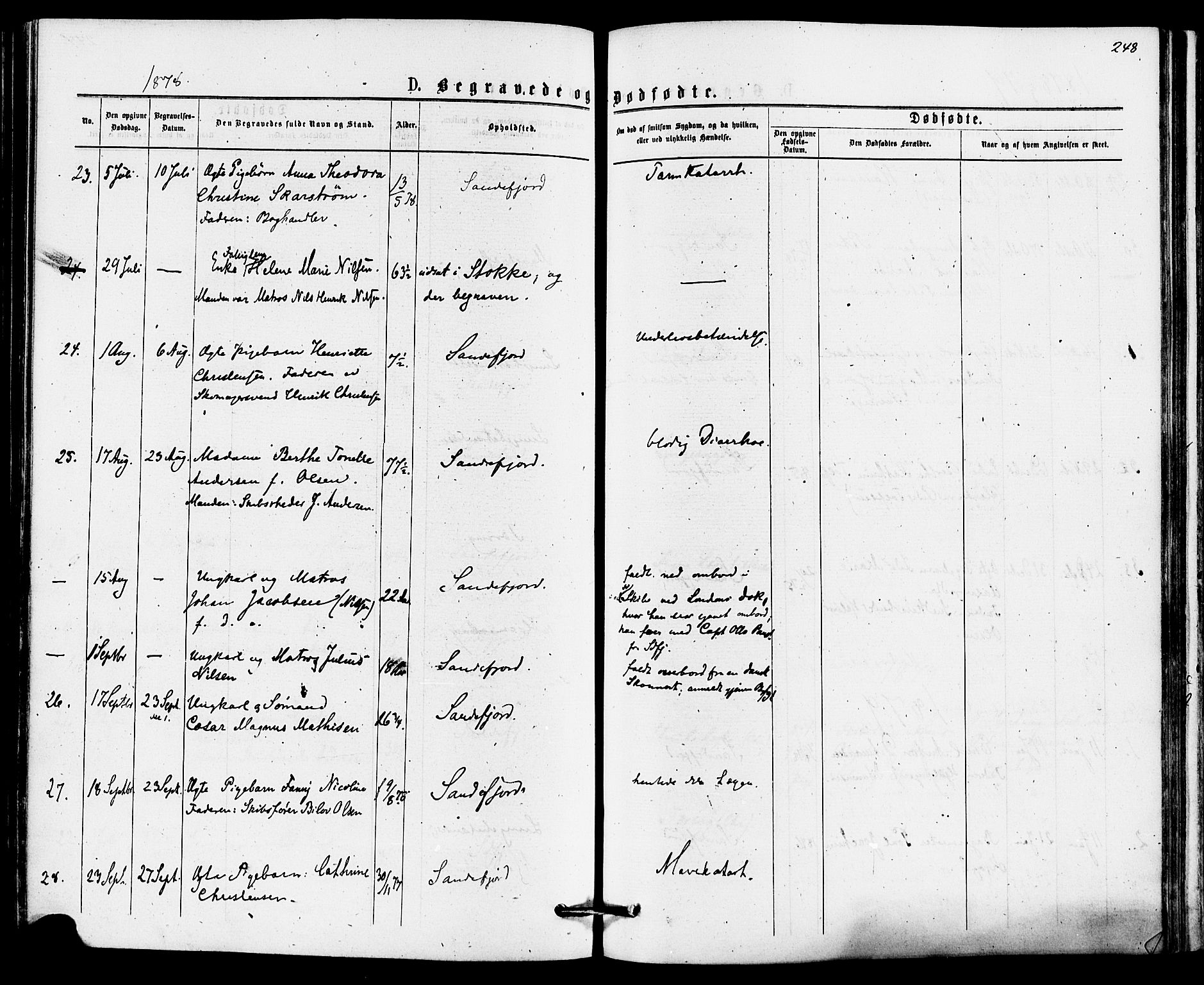 Sandefjord kirkebøker, SAKO/A-315/F/Fa/L0001: Parish register (official) no. 1, 1873-1879, p. 248