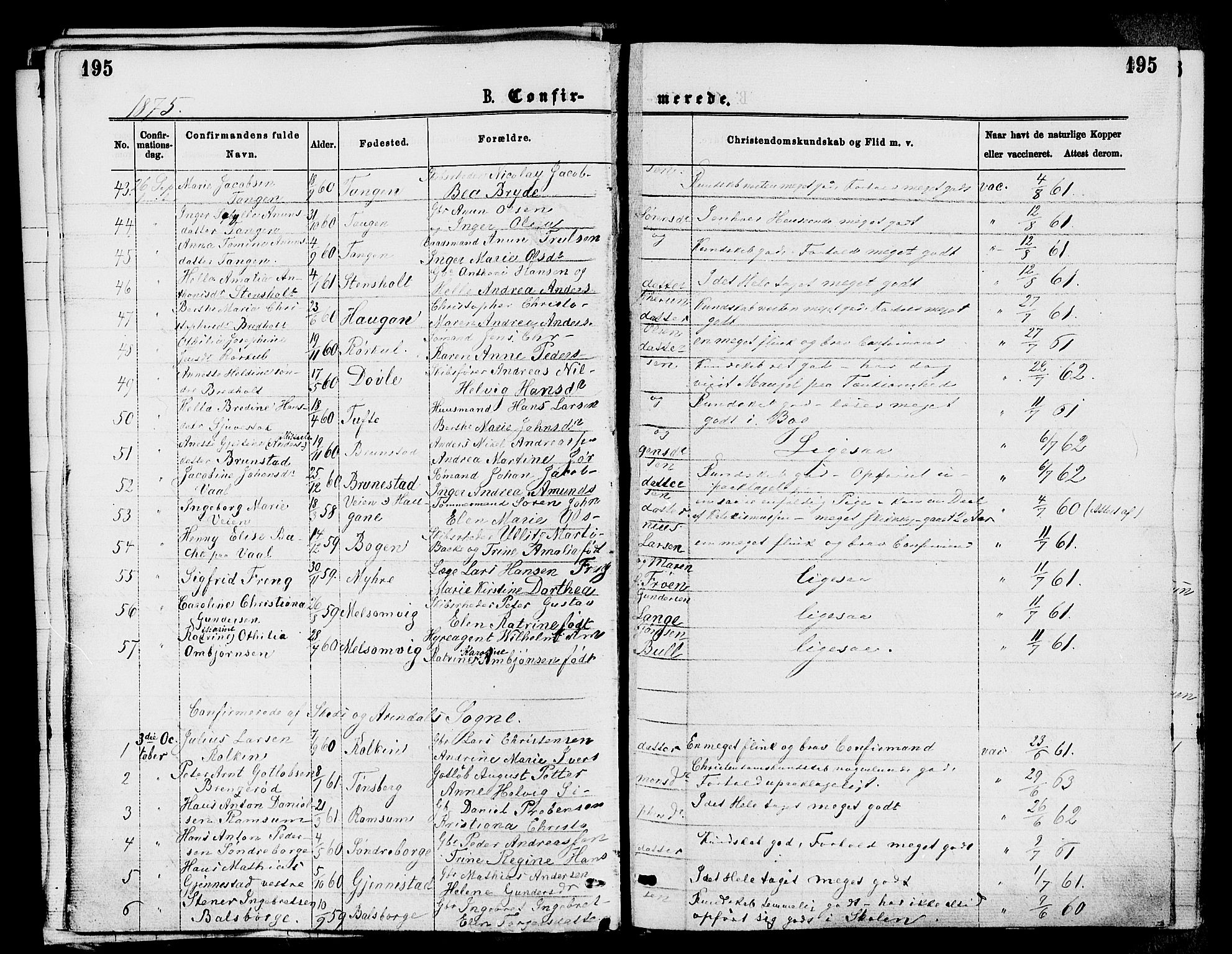 Stokke kirkebøker, AV/SAKO-A-320/F/Fa/L0009: Parish register (official) no. I 9, 1872-1883, p. 195