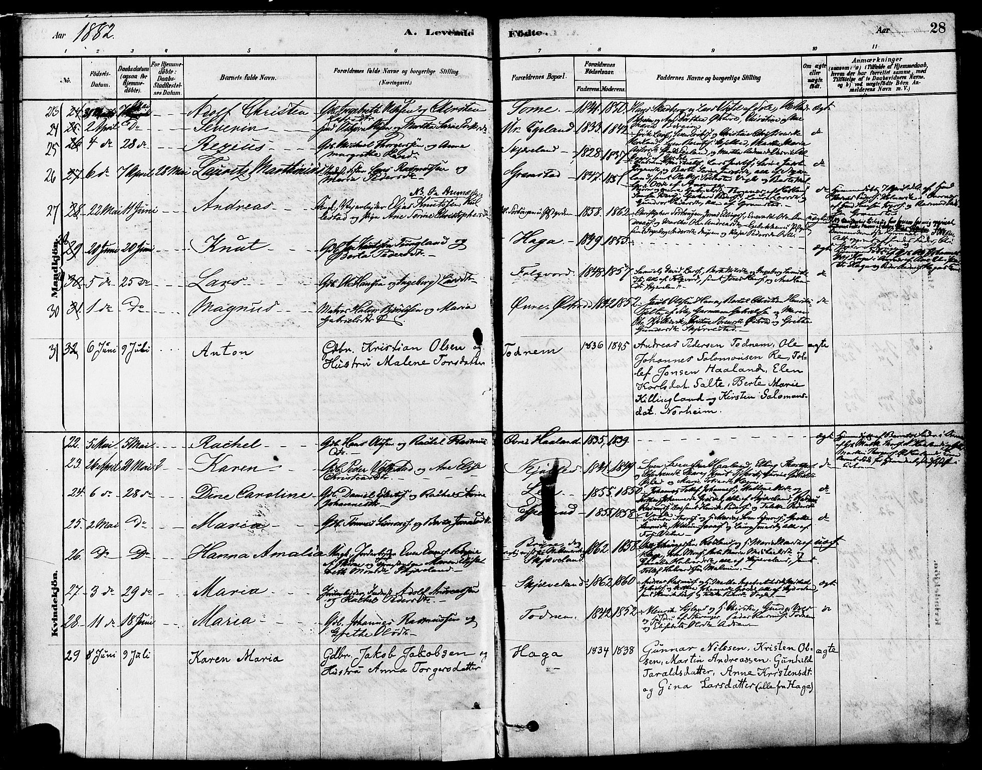 Høyland sokneprestkontor, AV/SAST-A-101799/001/30BA/L0011: Parish register (official) no. A 10, 1878-1888, p. 28