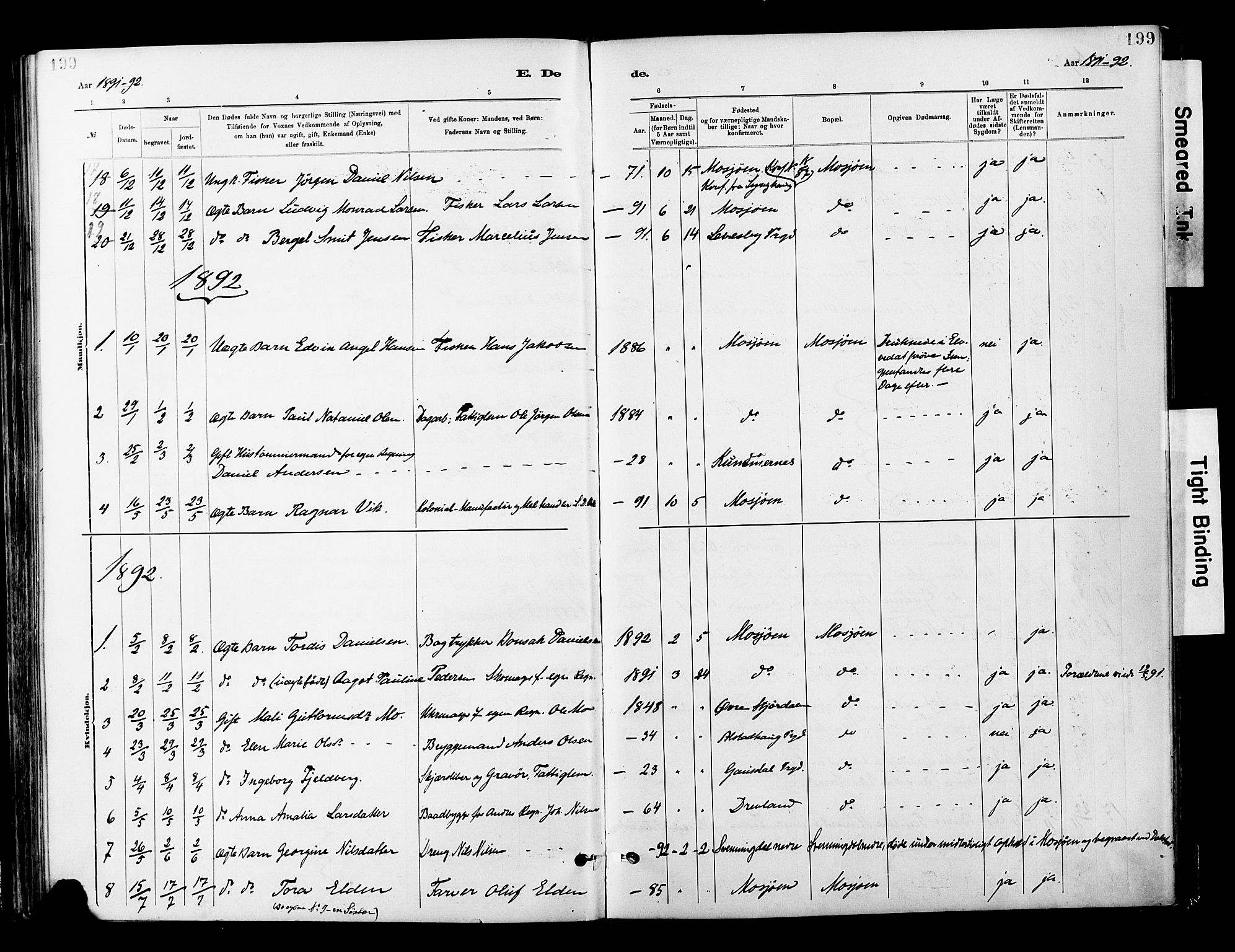 Ministerialprotokoller, klokkerbøker og fødselsregistre - Nordland, AV/SAT-A-1459/820/L0296: Parish register (official) no. 820A17, 1880-1903, p. 199