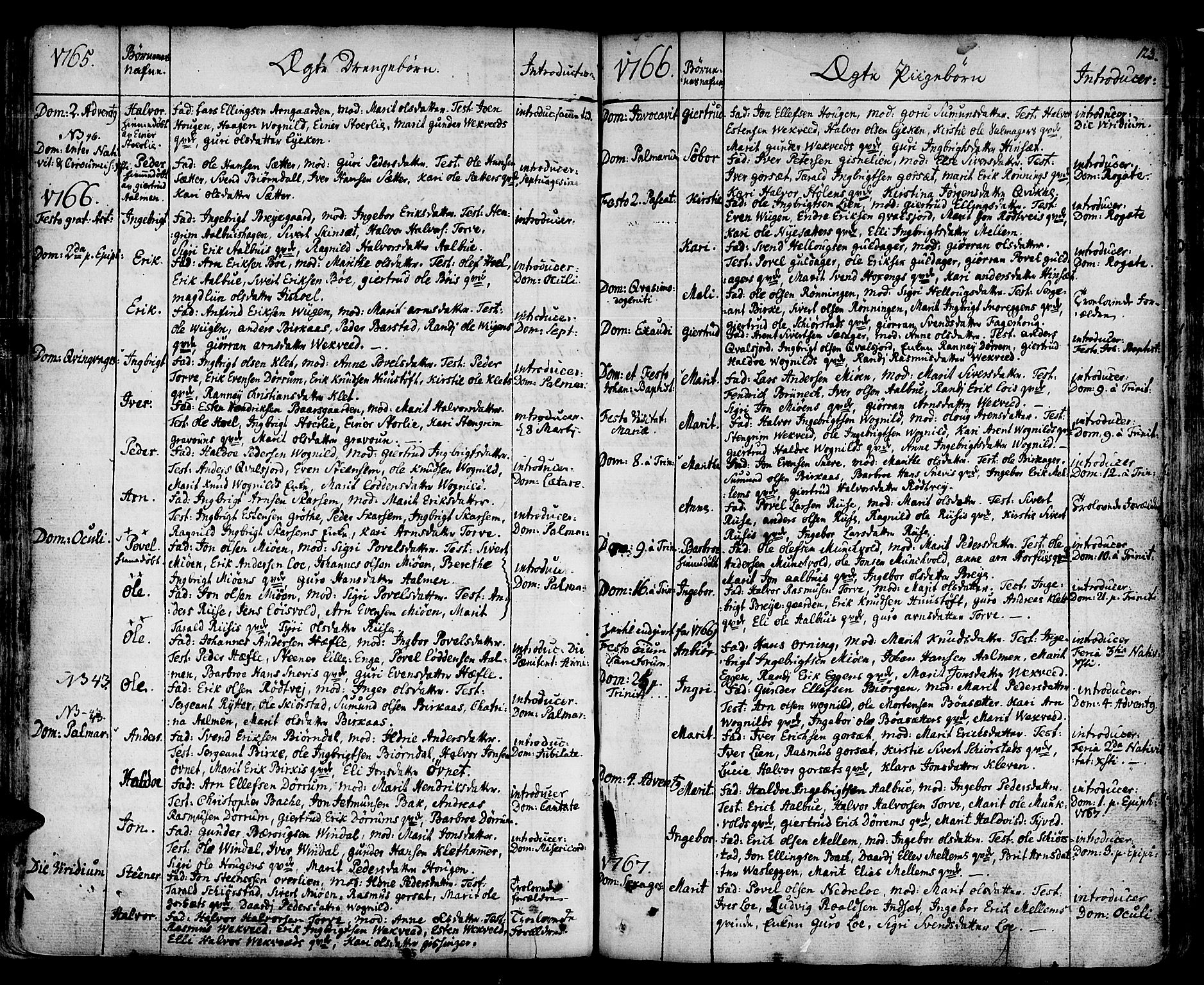 Ministerialprotokoller, klokkerbøker og fødselsregistre - Sør-Trøndelag, SAT/A-1456/678/L0891: Parish register (official) no. 678A01, 1739-1780, p. 123