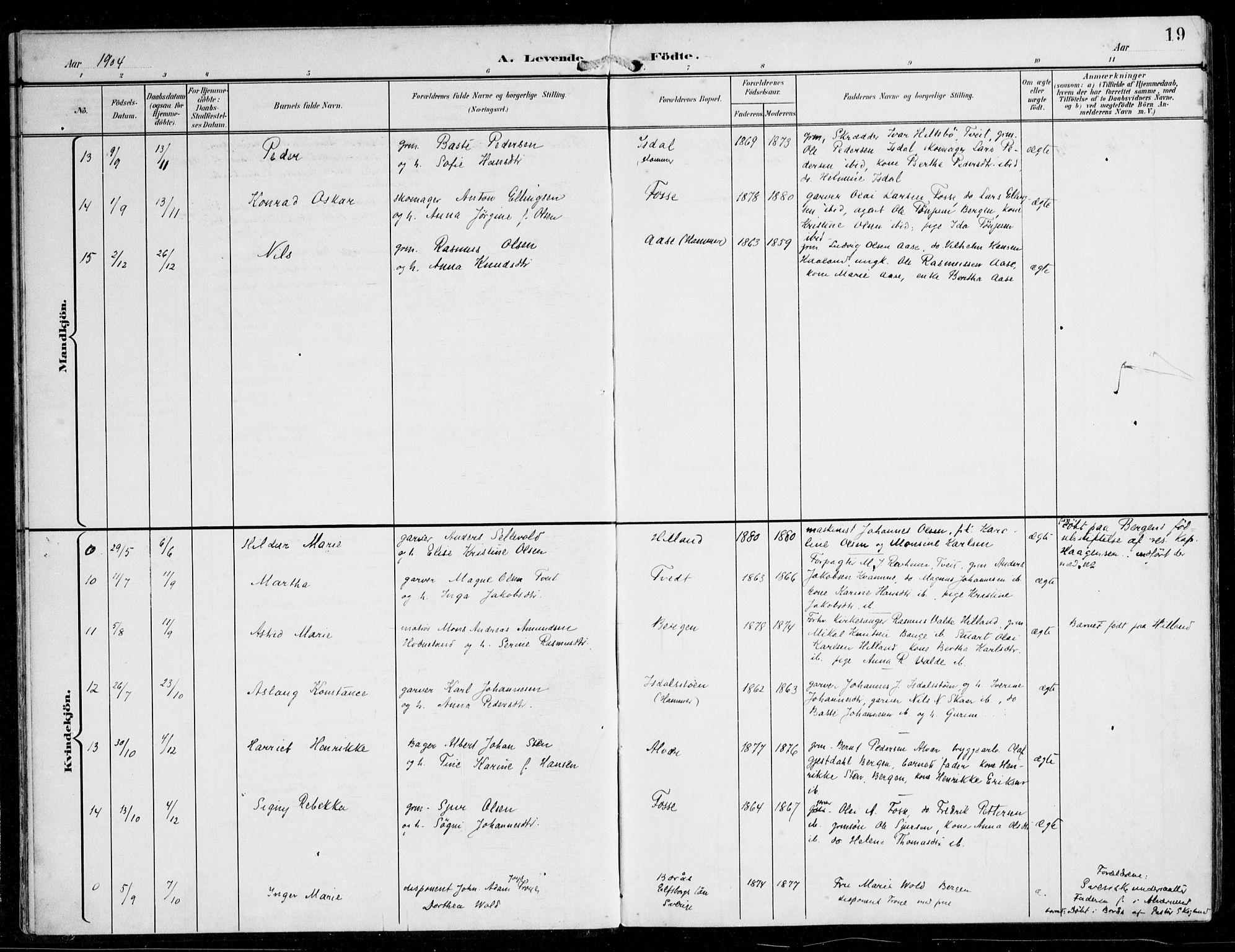 Alversund Sokneprestembete, AV/SAB-A-73901/H/Ha/Haa/Haaa/L0003: Parish register (official) no. A 3, 1897-1926, p. 19