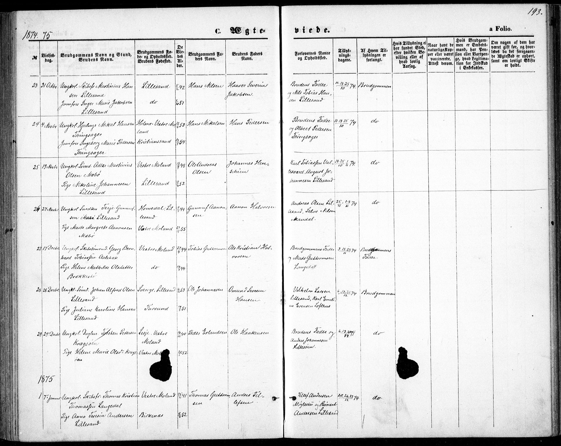 Vestre Moland sokneprestkontor, SAK/1111-0046/F/Fb/Fbb/L0005: Parish register (copy) no. B 5, 1872-1883, p. 193