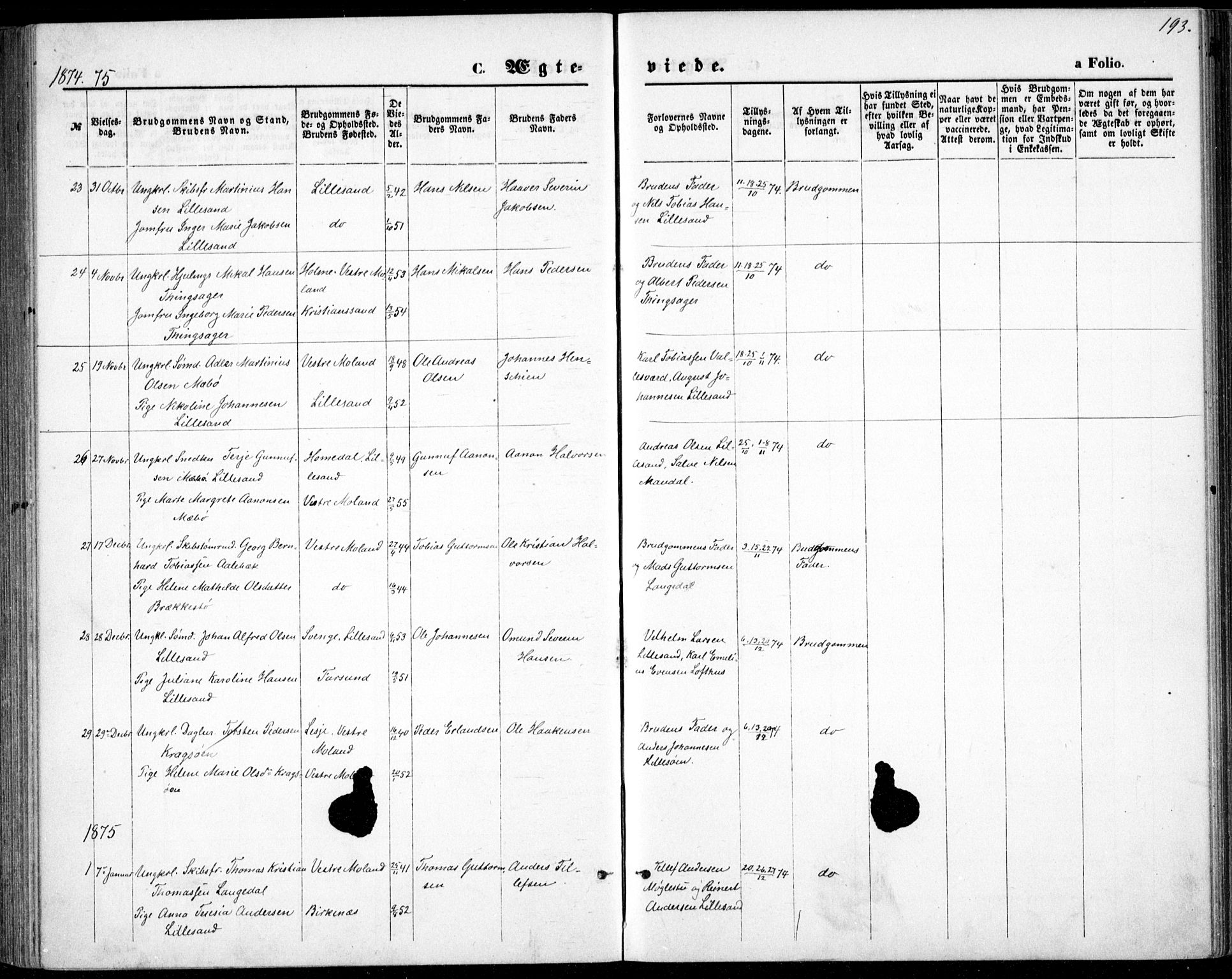 Vestre Moland sokneprestkontor, AV/SAK-1111-0046/F/Fb/Fbb/L0005: Parish register (copy) no. B 5, 1872-1883, p. 193