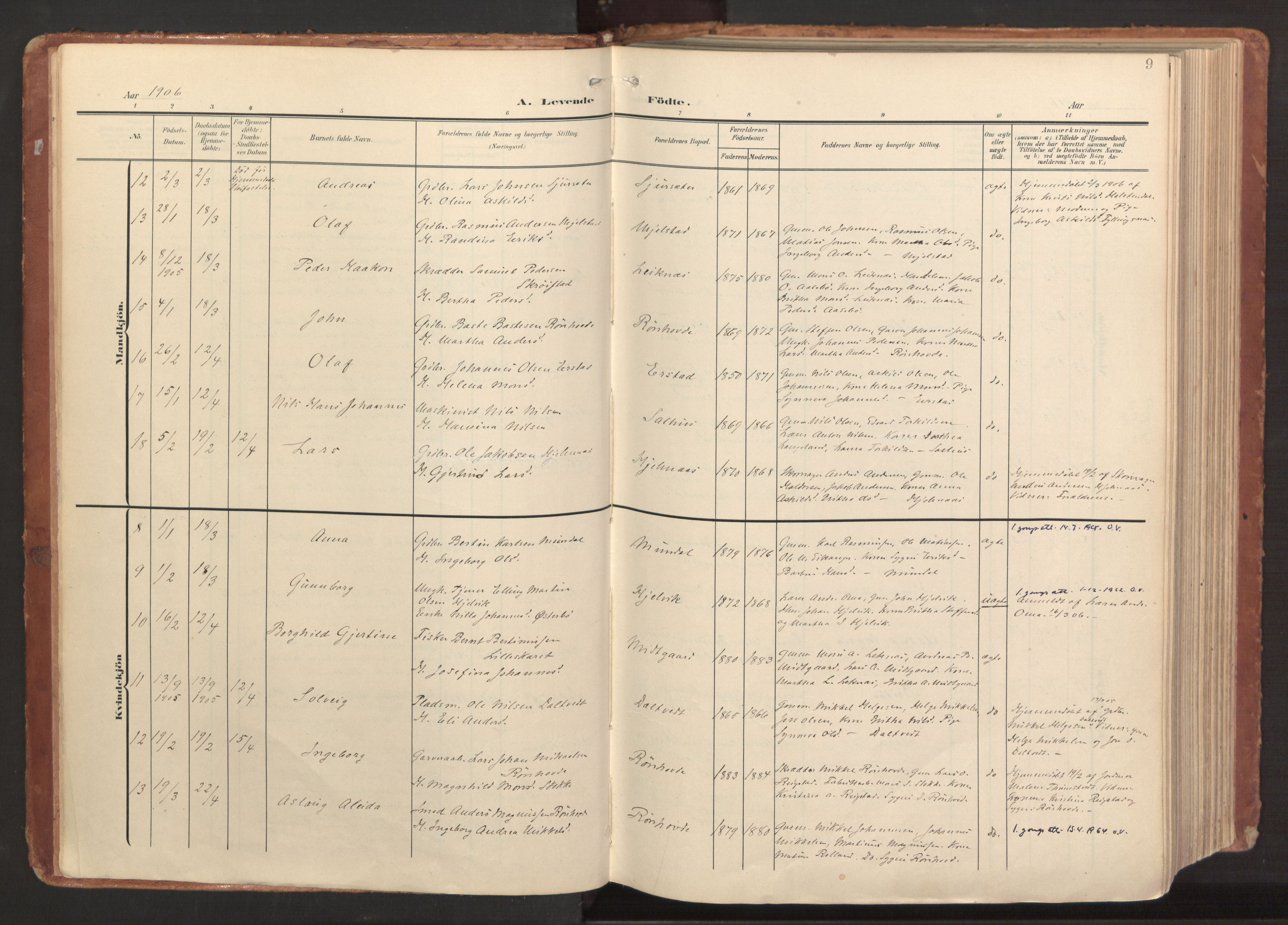 Hamre sokneprestembete, AV/SAB-A-75501/H/Ha/Haa/Haab/L0002: Parish register (official) no. B 2, 1905-1924, p. 9