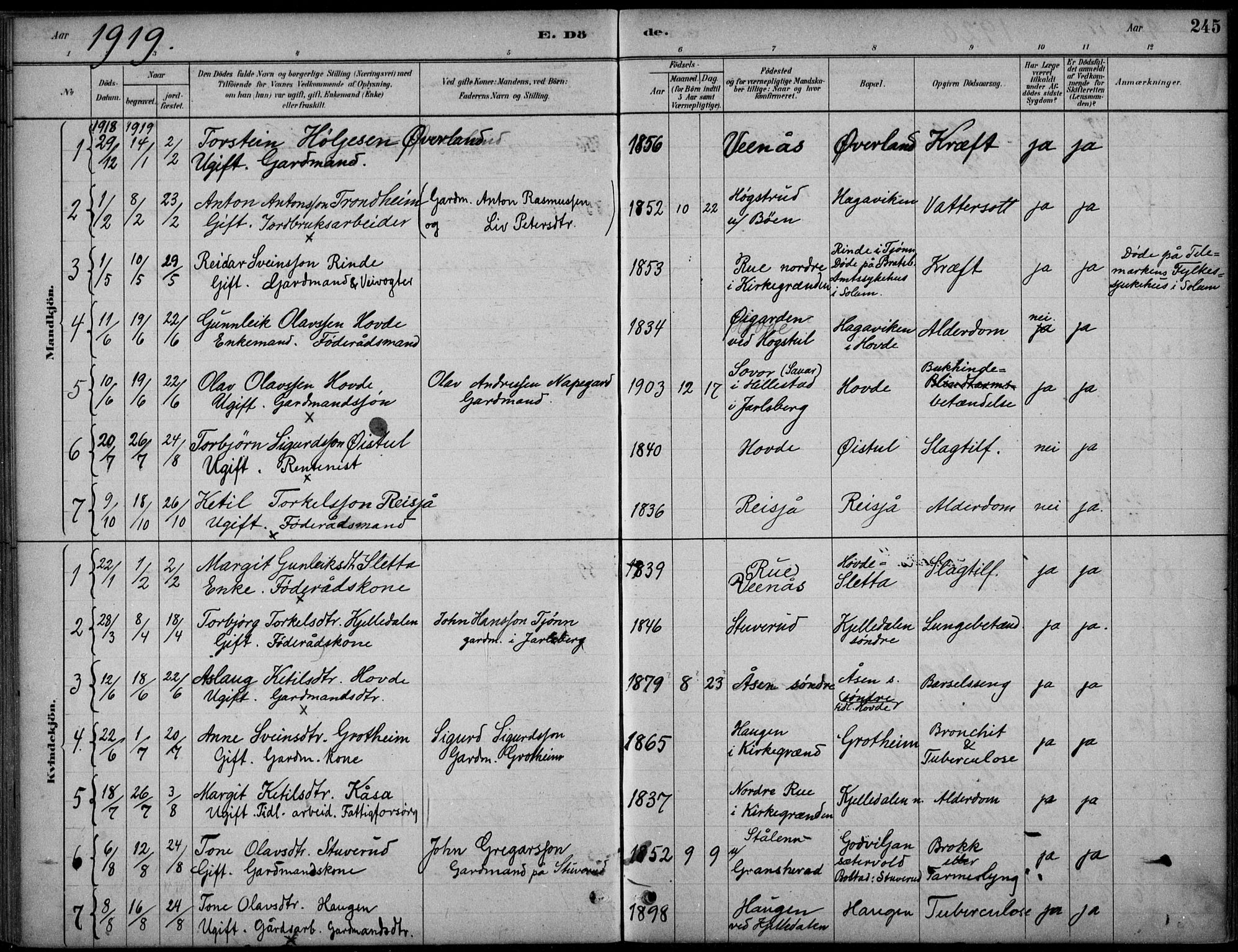 Hjartdal kirkebøker, SAKO/A-270/F/Fc/L0002: Parish register (official) no. III 2, 1880-1936, p. 245