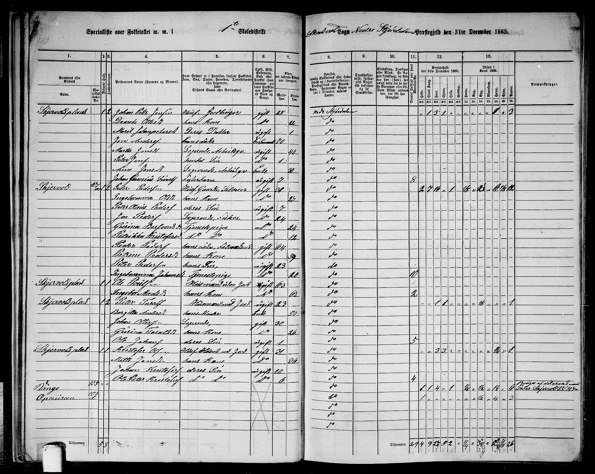 RA, 1865 census for Nedre Stjørdal, 1865, p. 30