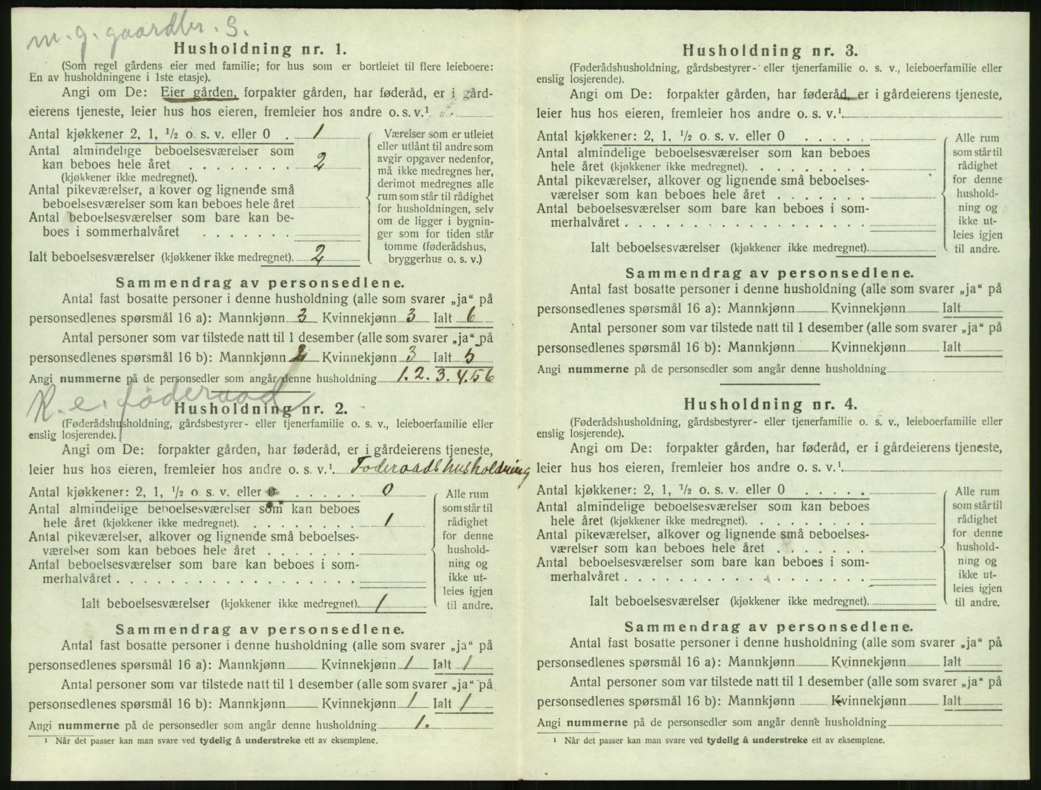 SAT, 1920 census for Sunnylven, 1920, p. 393