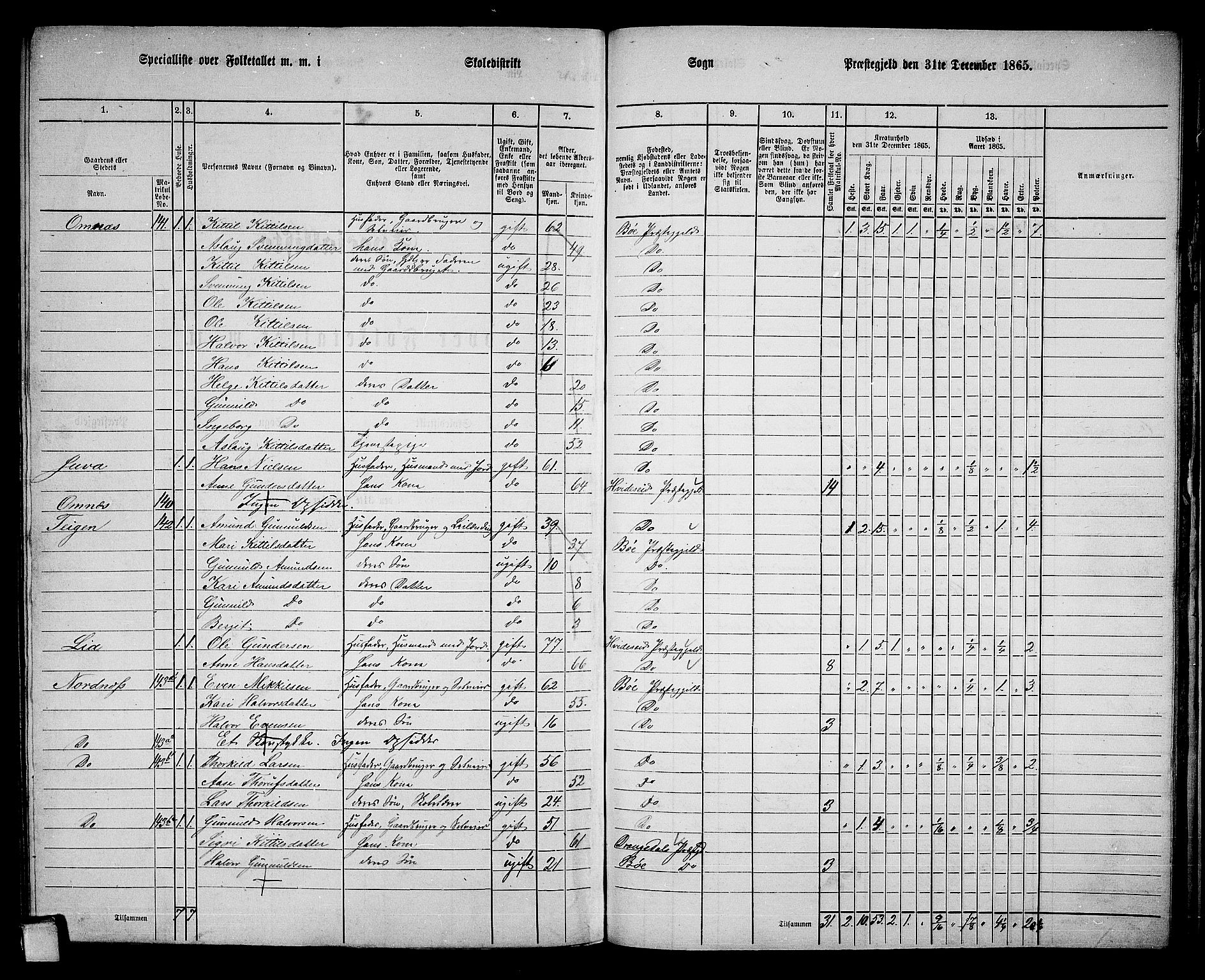 RA, 1865 census for Bø, 1865, p. 198