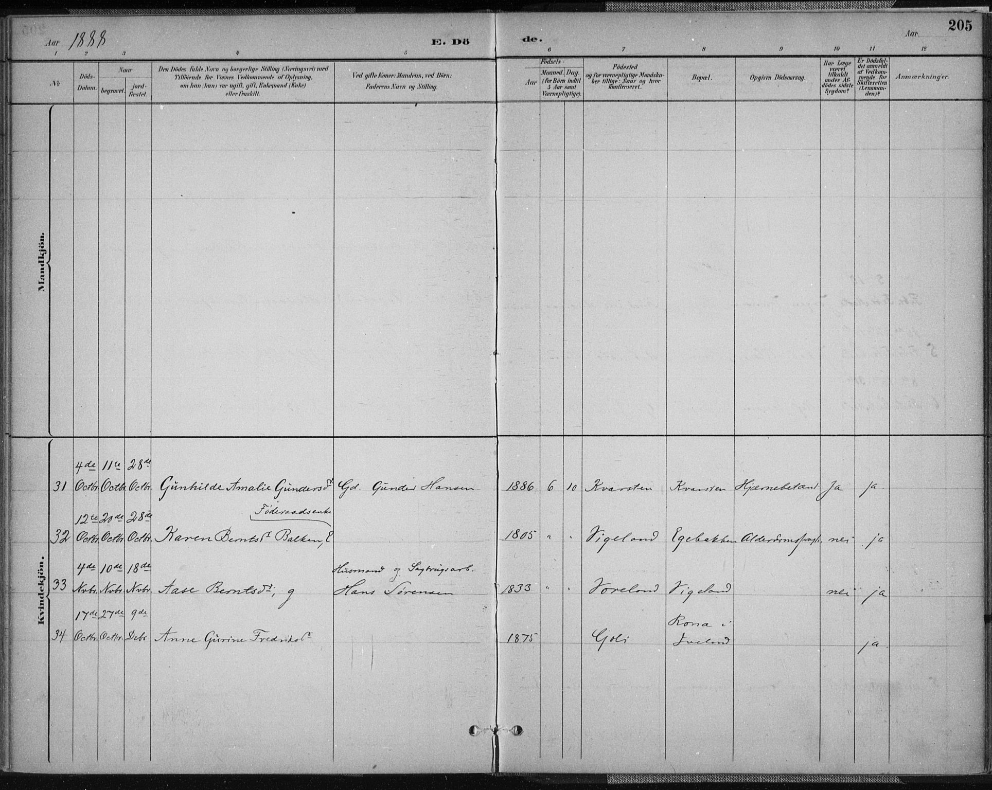 Vennesla sokneprestkontor, AV/SAK-1111-0045/Fa/Fab/L0004: Parish register (official) no. A 4, 1884-1896, p. 205