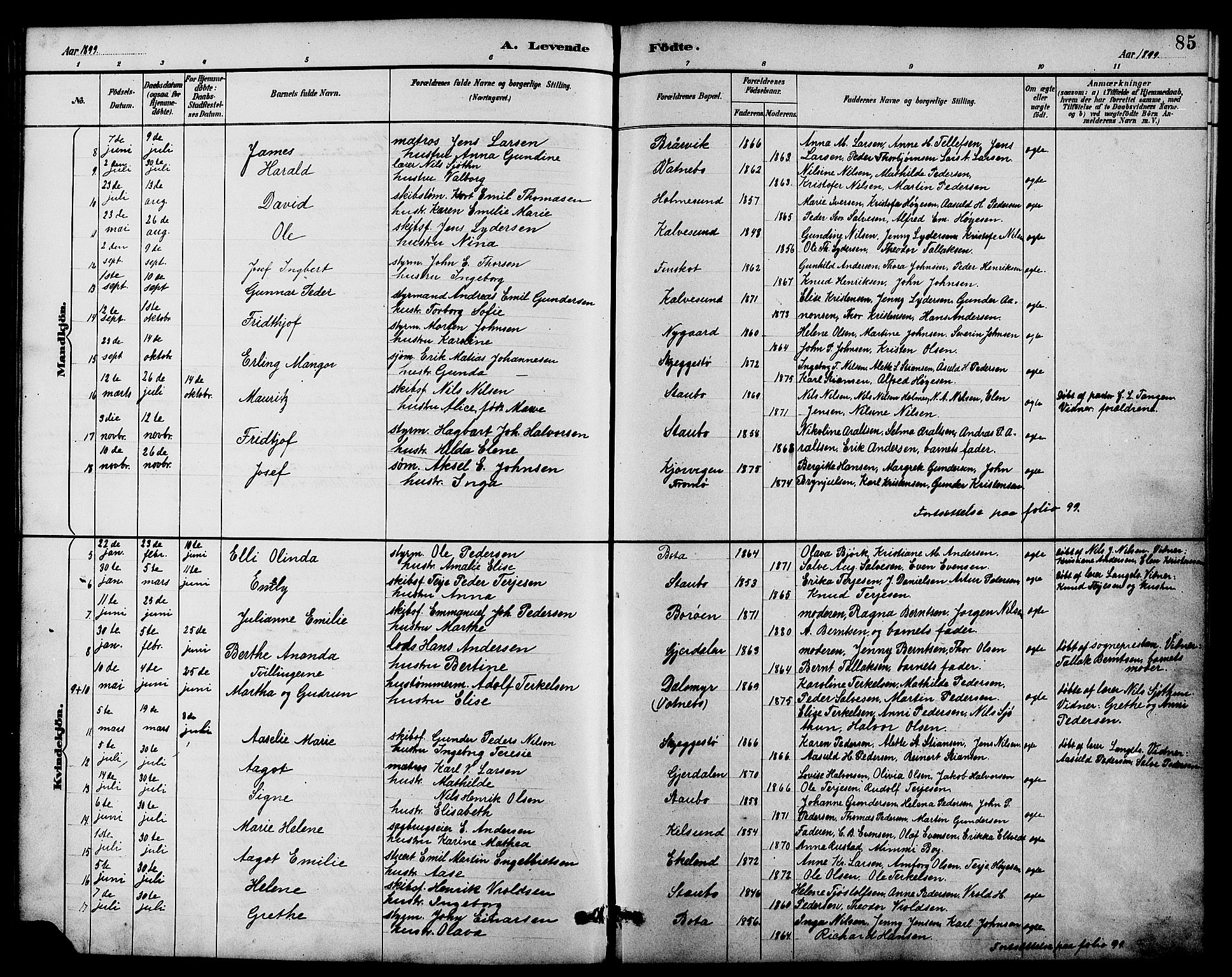 Dypvåg sokneprestkontor, AV/SAK-1111-0007/F/Fb/Fbb/L0004: Parish register (copy) no. B 4, 1887-1905, p. 85