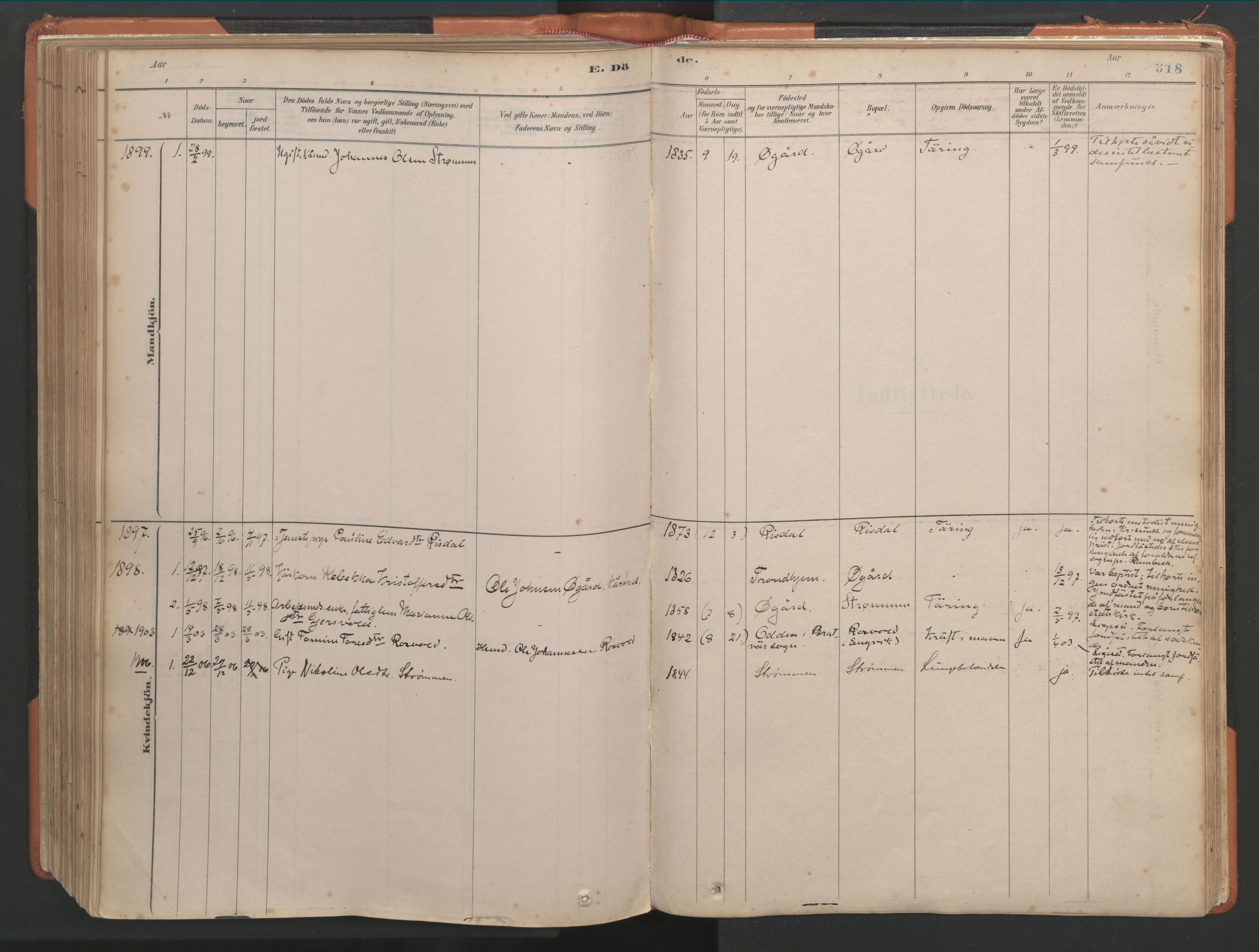 Ministerialprotokoller, klokkerbøker og fødselsregistre - Møre og Romsdal, AV/SAT-A-1454/581/L0941: Parish register (official) no. 581A09, 1880-1919, p. 318