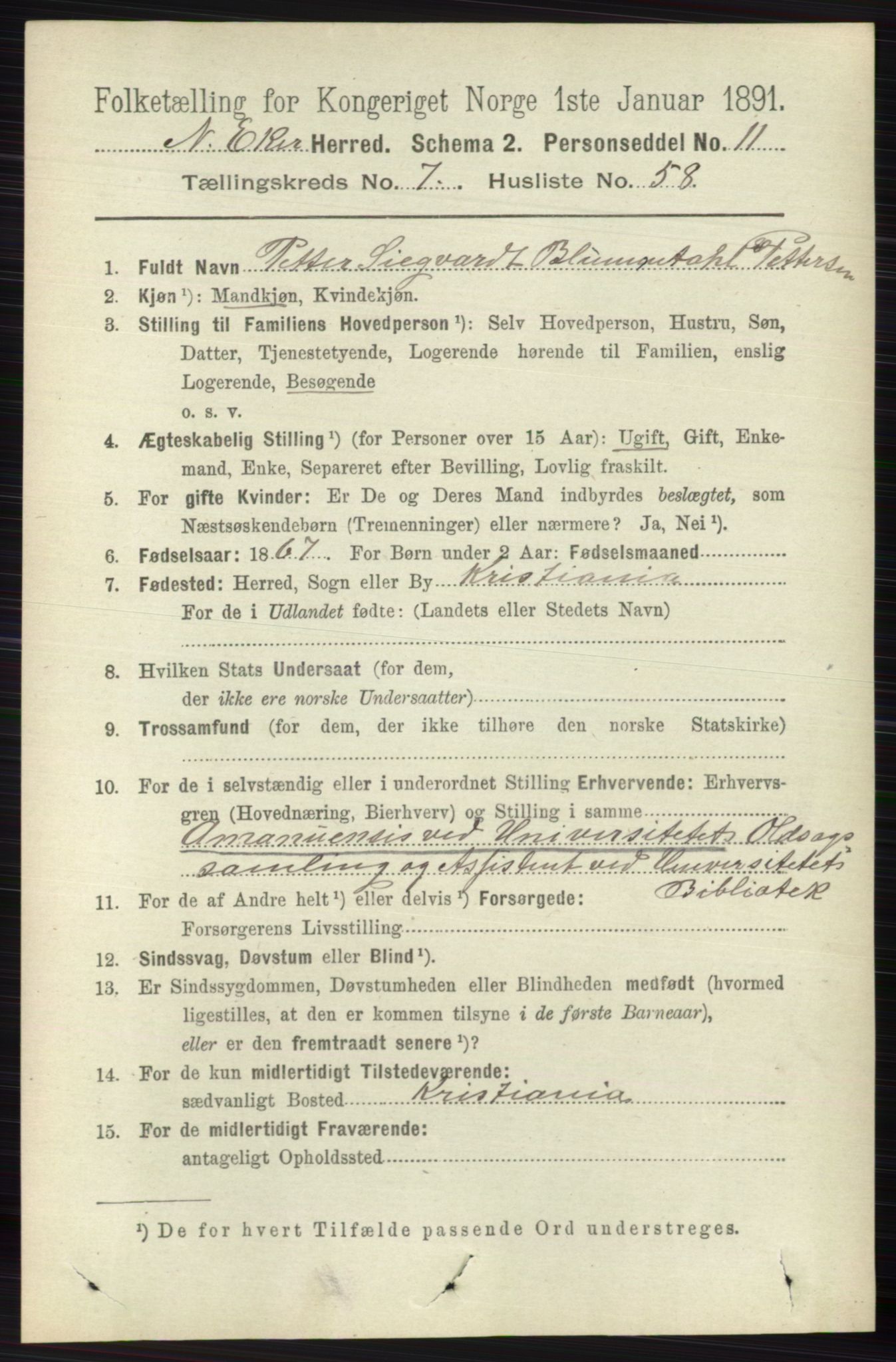 RA, 1891 census for 0625 Nedre Eiker, 1891, p. 3826