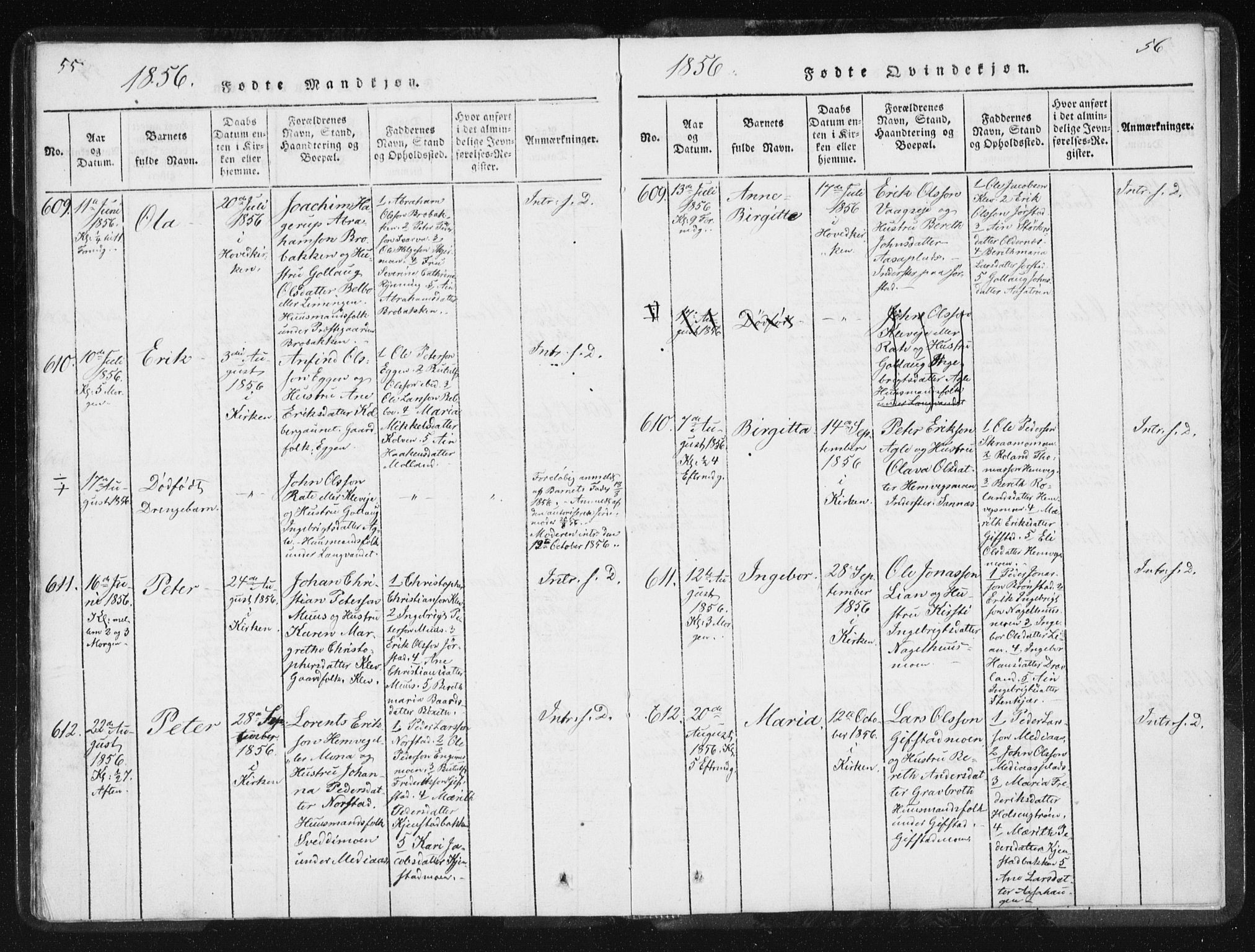 Ministerialprotokoller, klokkerbøker og fødselsregistre - Nord-Trøndelag, AV/SAT-A-1458/749/L0471: Parish register (official) no. 749A05, 1847-1856, p. 55-56