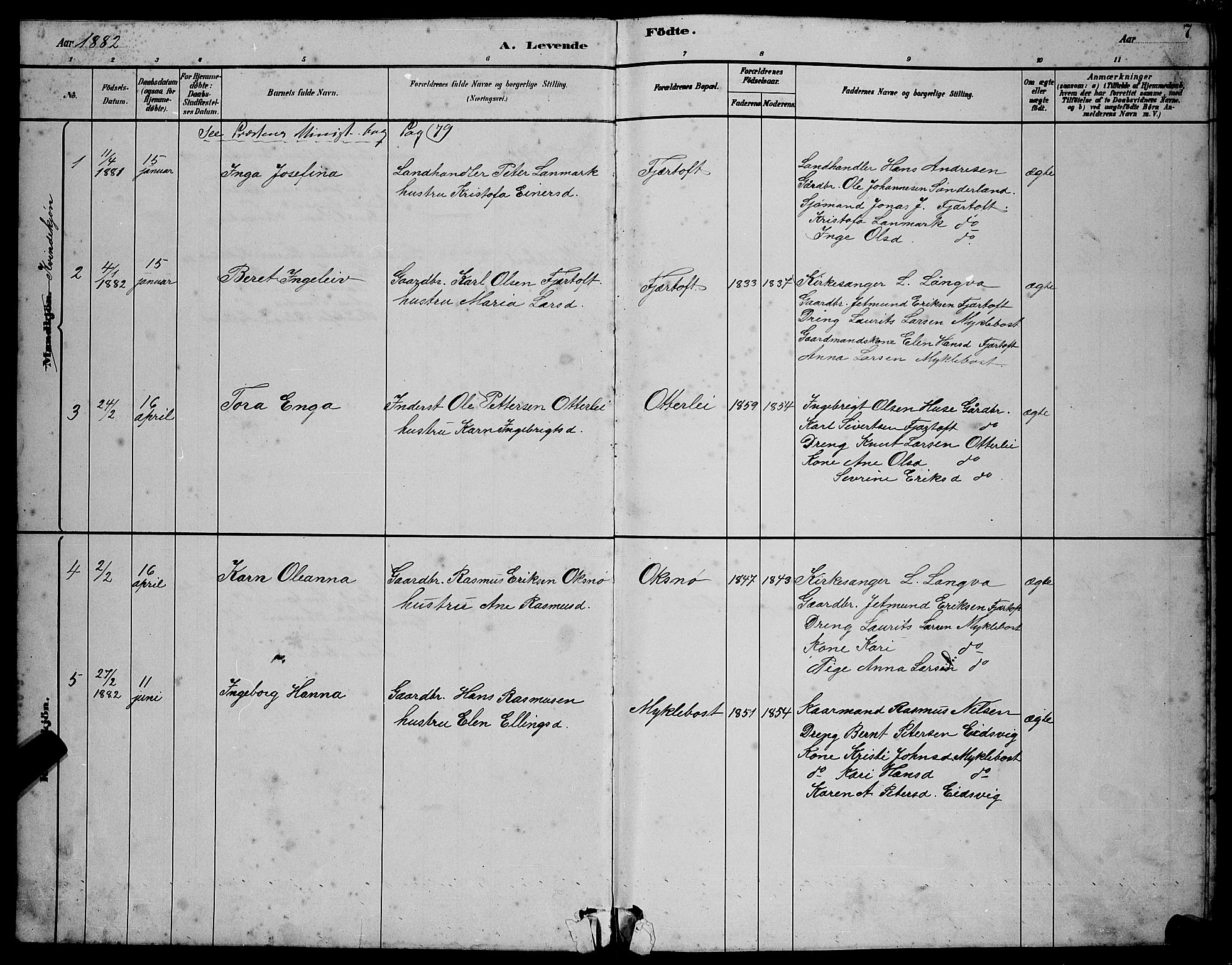 Ministerialprotokoller, klokkerbøker og fødselsregistre - Møre og Romsdal, AV/SAT-A-1454/538/L0523: Parish register (copy) no. 538C01, 1881-1900, p. 7