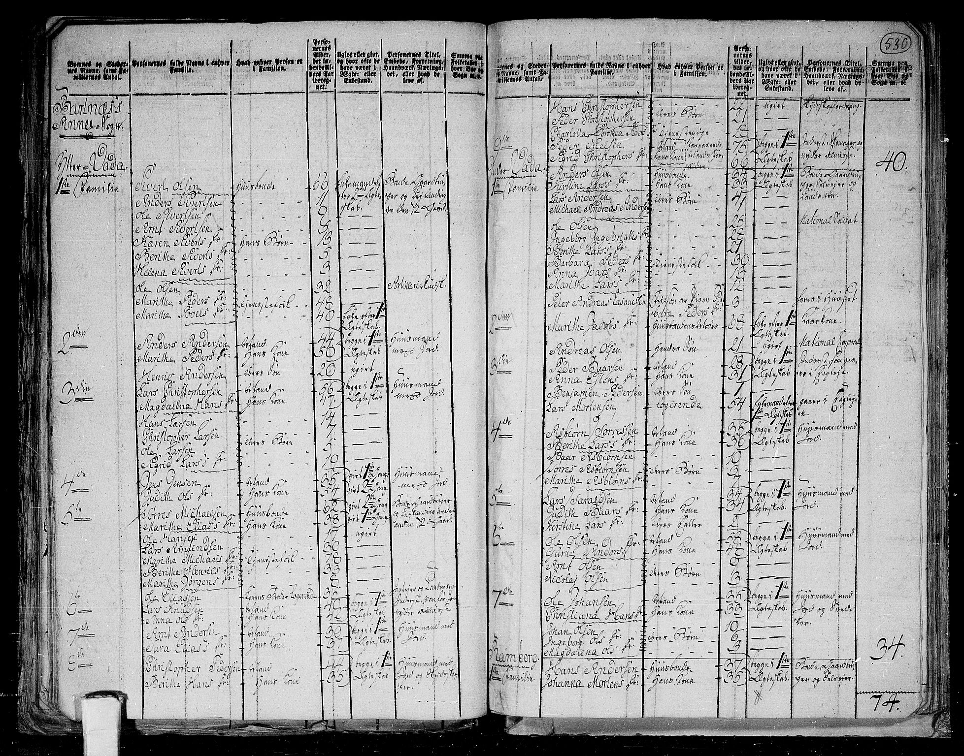 RA, 1801 census for 1727P Beitstad, 1801, p. 529b-530a