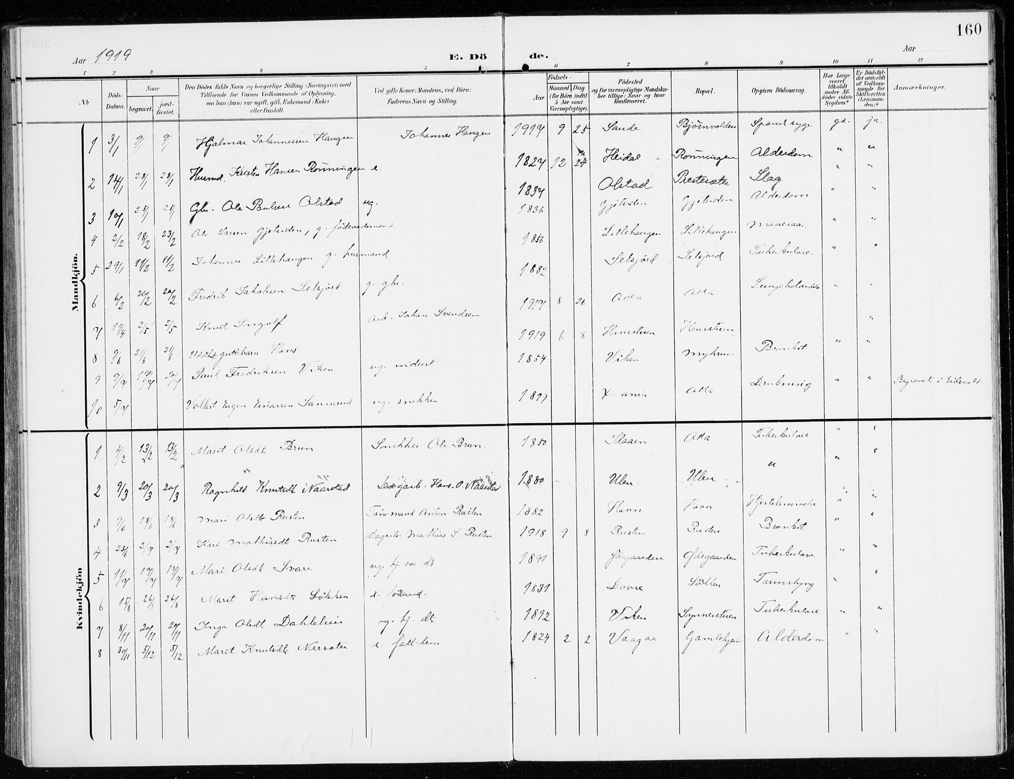 Sel prestekontor, SAH/PREST-074/H/Ha/Haa/L0002: Parish register (official) no. 2, 1905-1919, p. 160