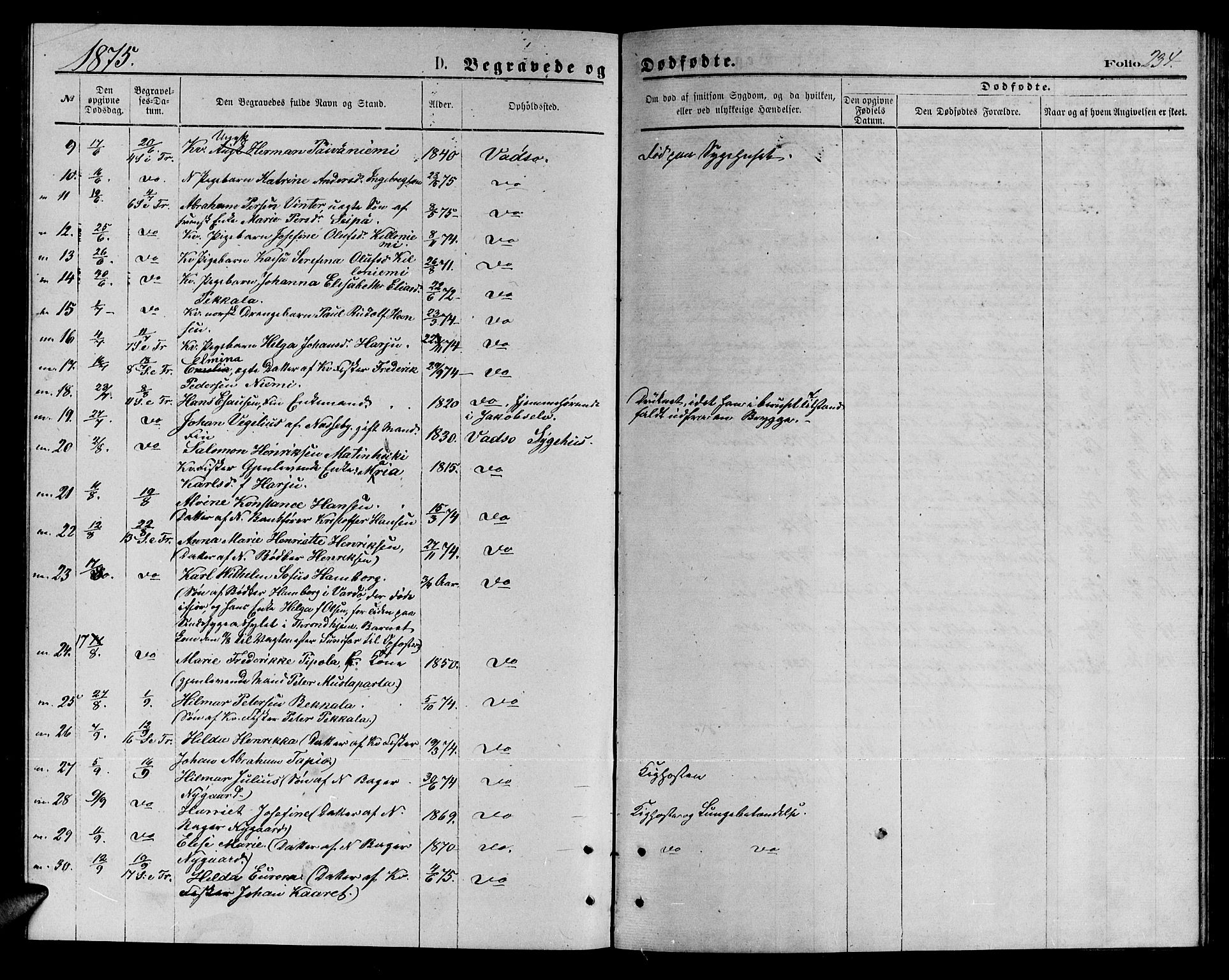 Vadsø sokneprestkontor, SATØ/S-1325/H/Hb/L0002klokker: Parish register (copy) no. 2, 1875-1884, p. 234