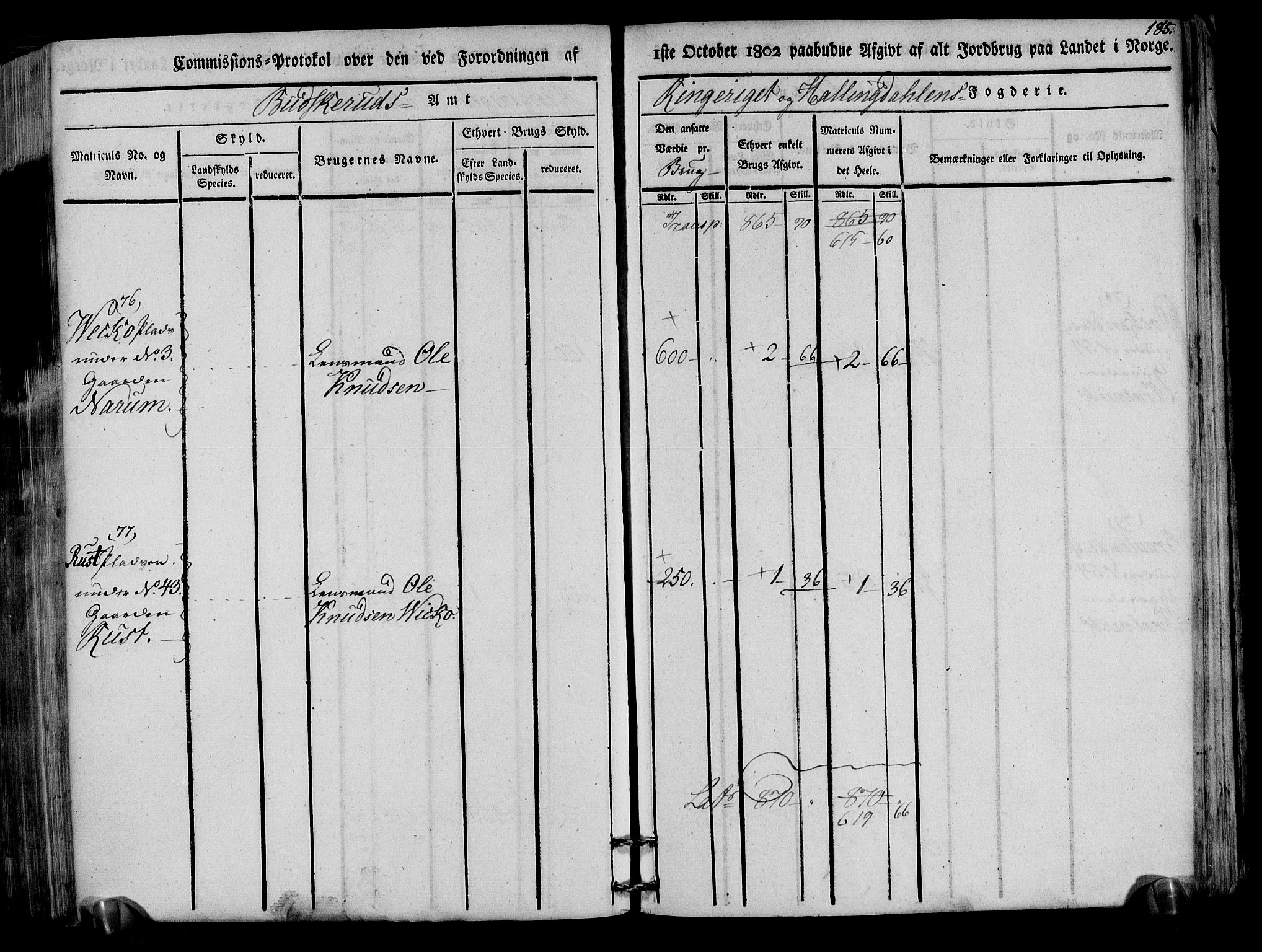 Rentekammeret inntil 1814, Realistisk ordnet avdeling, AV/RA-EA-4070/N/Ne/Nea/L0047: Ringerike og Hallingdal fogderi. Kommisjonsprotokoll for Nes prestegjeld, 1803, p. 188