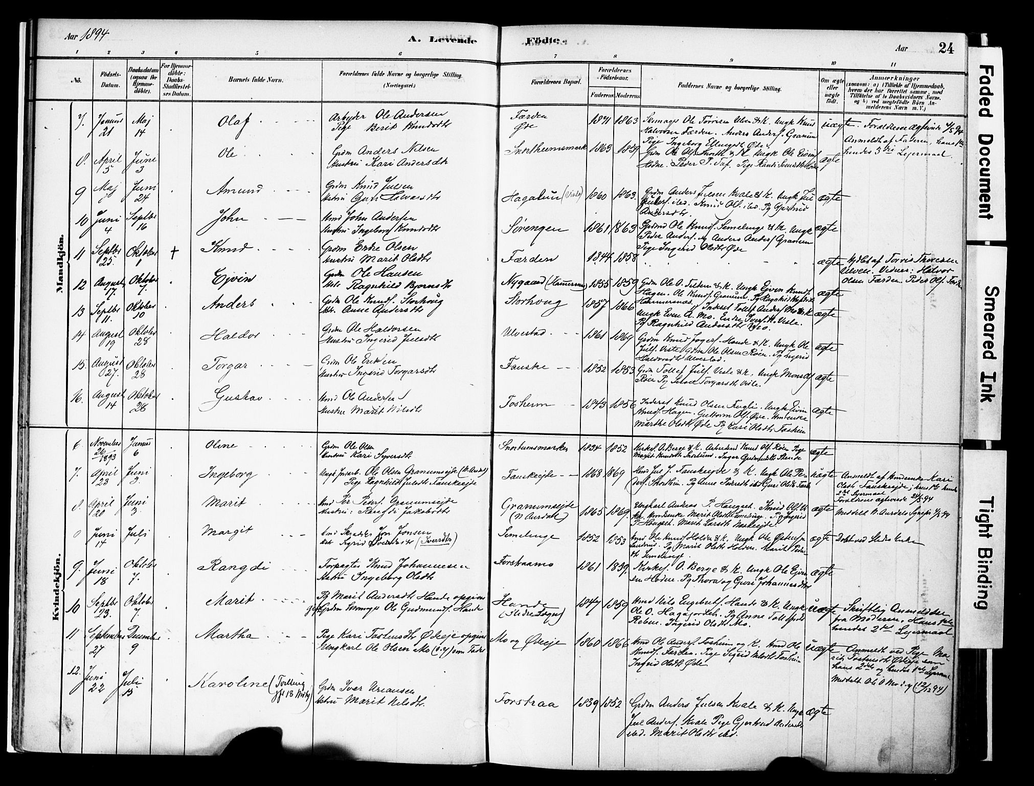 Vestre Slidre prestekontor, SAH/PREST-136/H/Ha/Haa/L0006: Parish register (official) no. 6, 1881-1912, p. 24