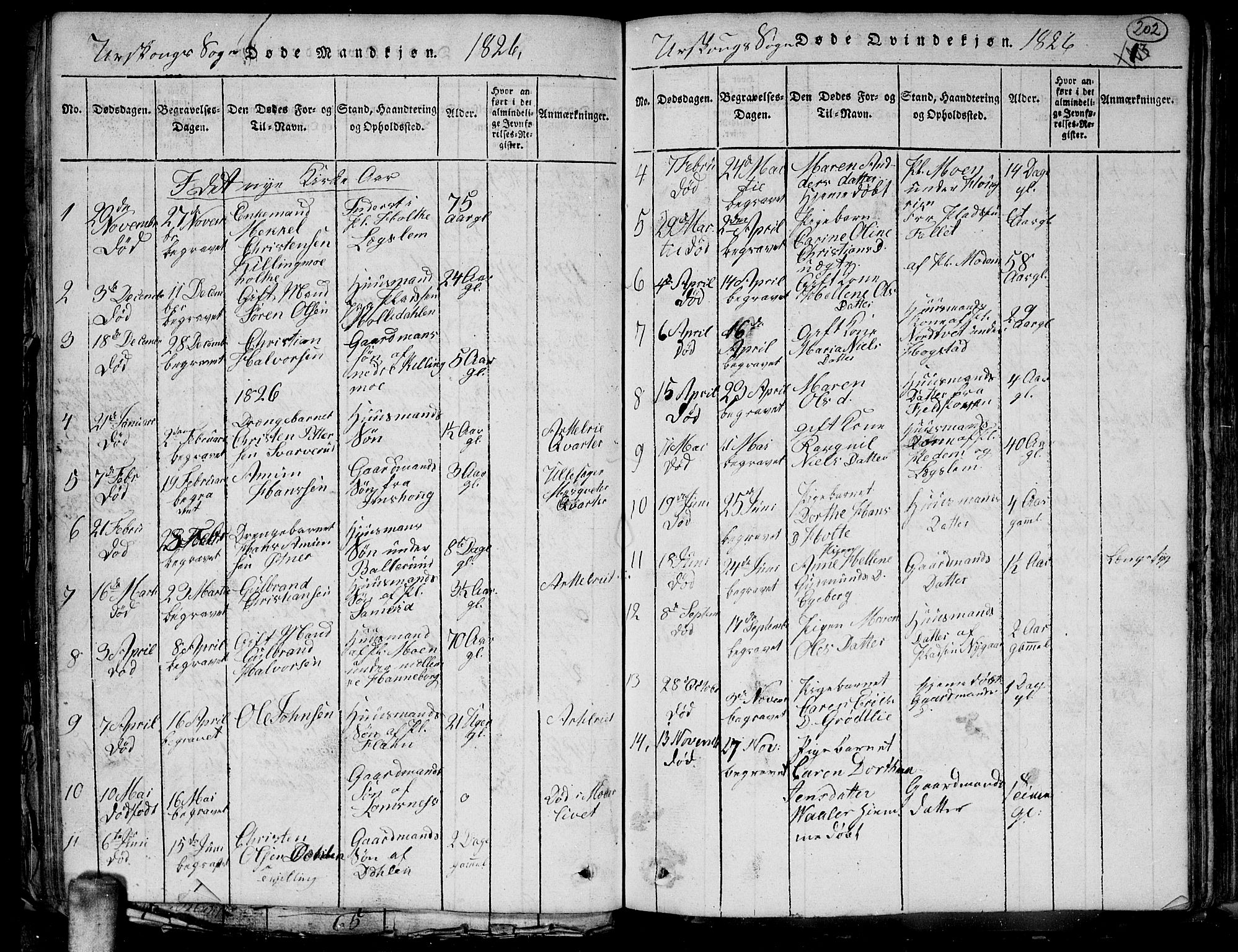 Aurskog prestekontor Kirkebøker, SAO/A-10304a/G/Ga/L0001: Parish register (copy) no. I 1, 1814-1829, p. 202