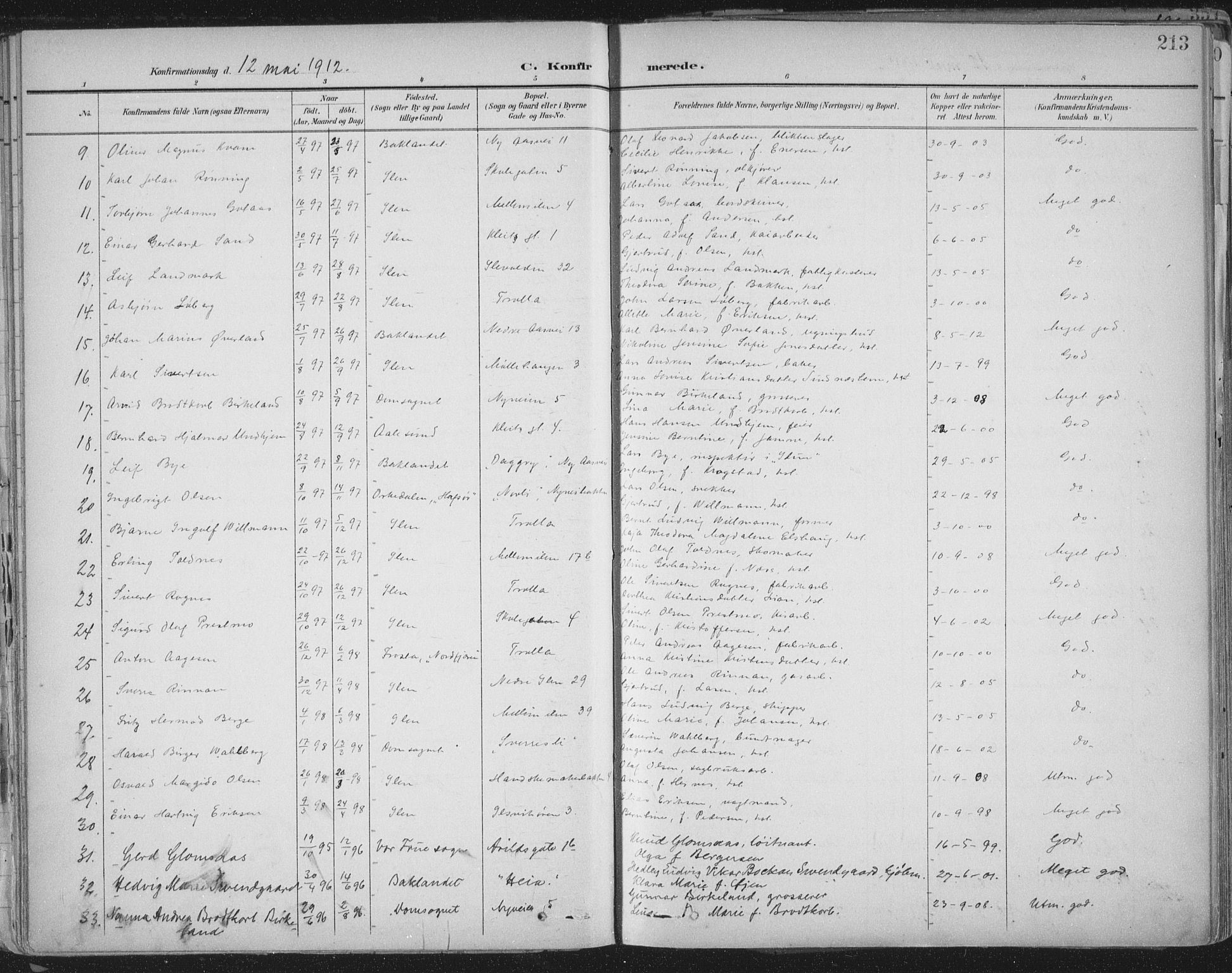 Ministerialprotokoller, klokkerbøker og fødselsregistre - Sør-Trøndelag, SAT/A-1456/603/L0167: Parish register (official) no. 603A06, 1896-1932, p. 213